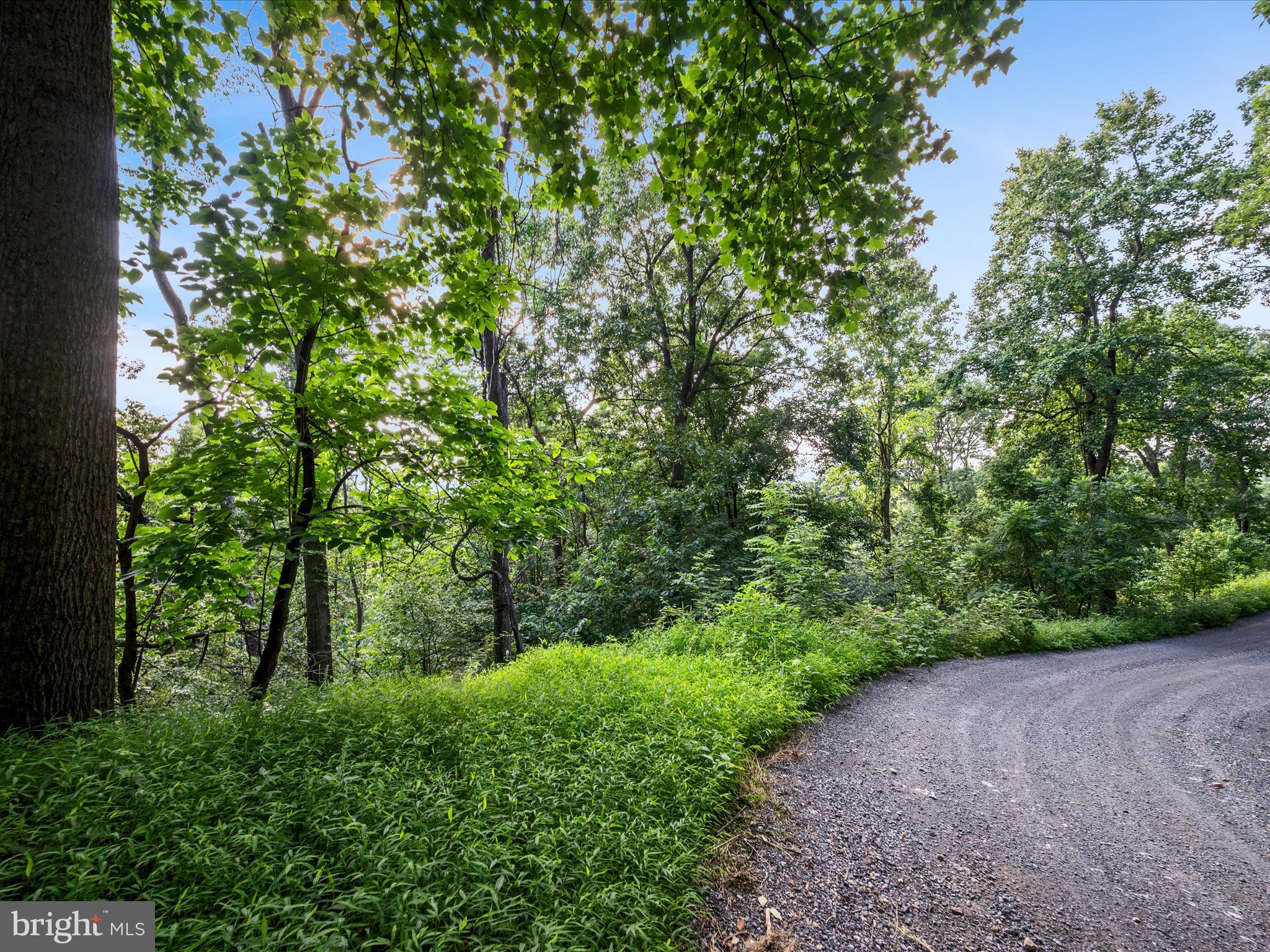 Lot 25 DOOM PEAK ROAD