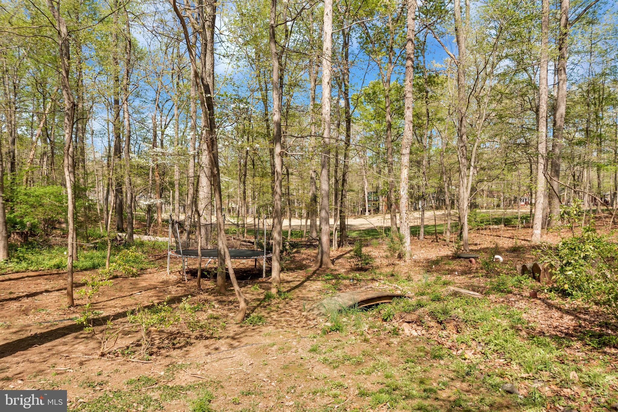 LAKE OF THE WOODS - Residential