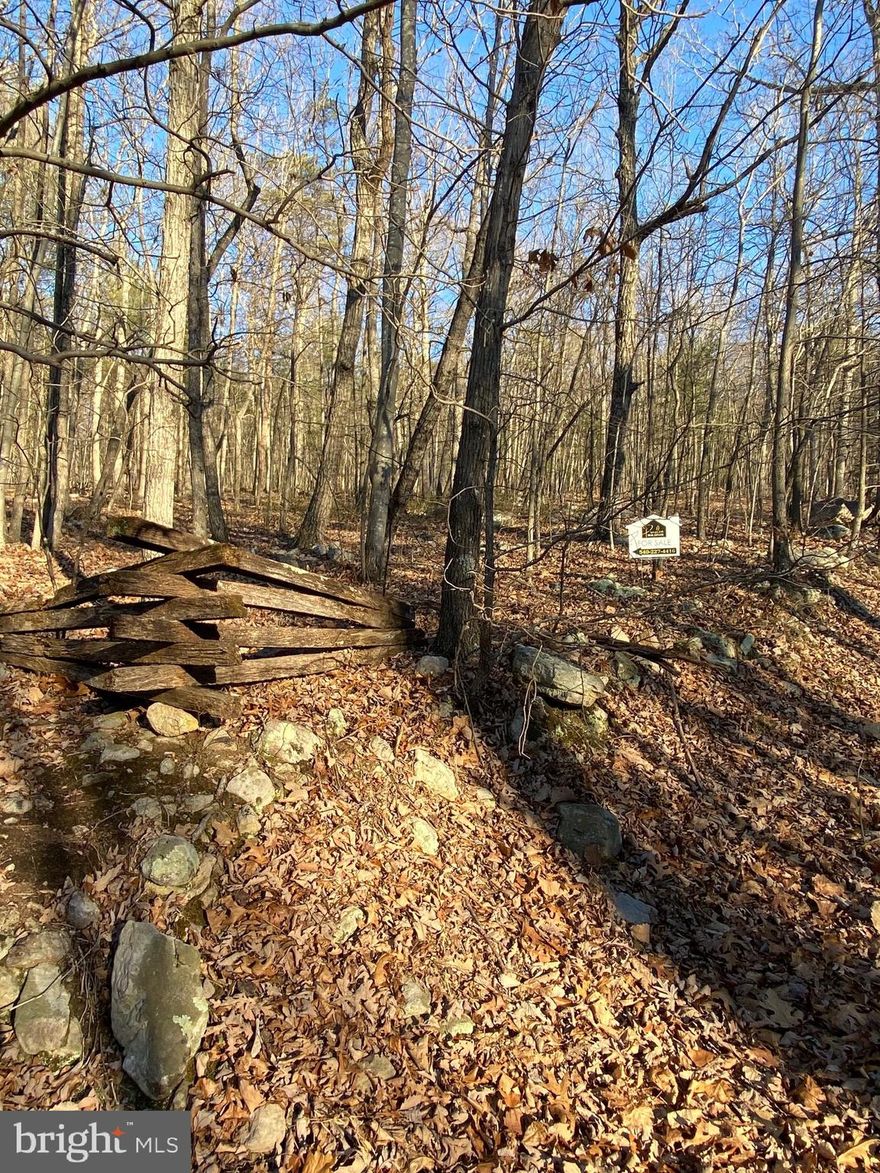 Four wooded acres located in New Market, VA on Caseys Mountain Lane.  Great for recreational use or to build your dream home.
