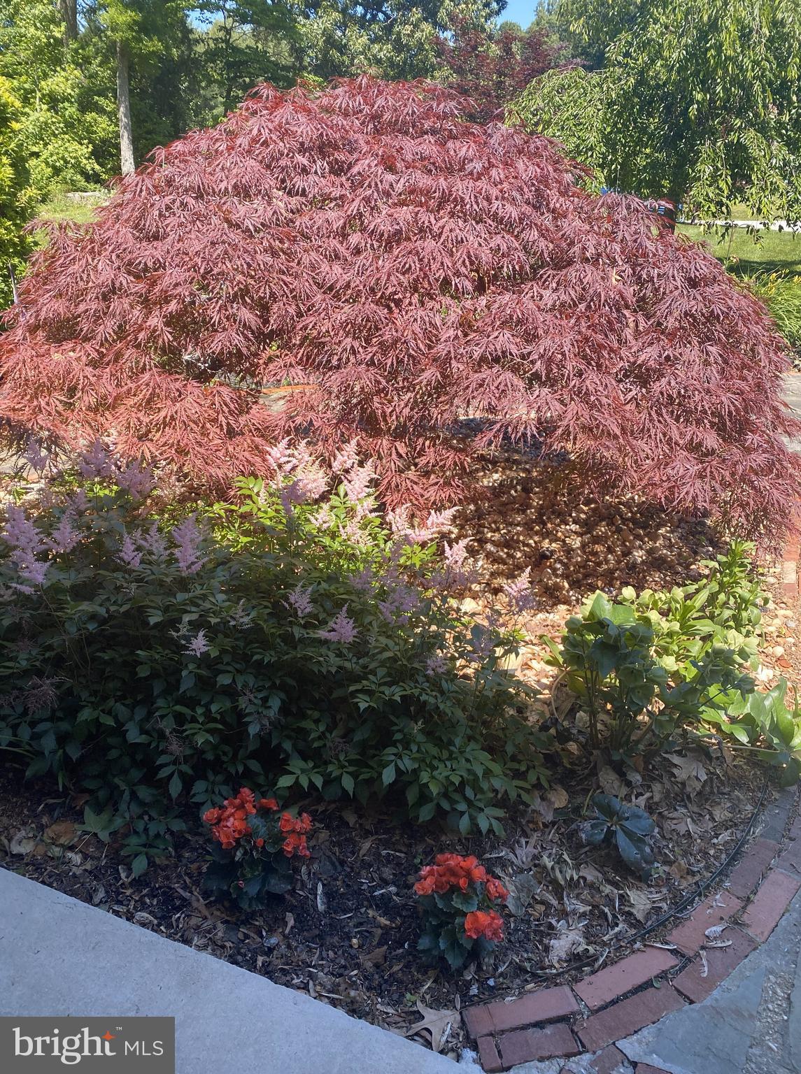 ASHWOOD MANOR - Residential