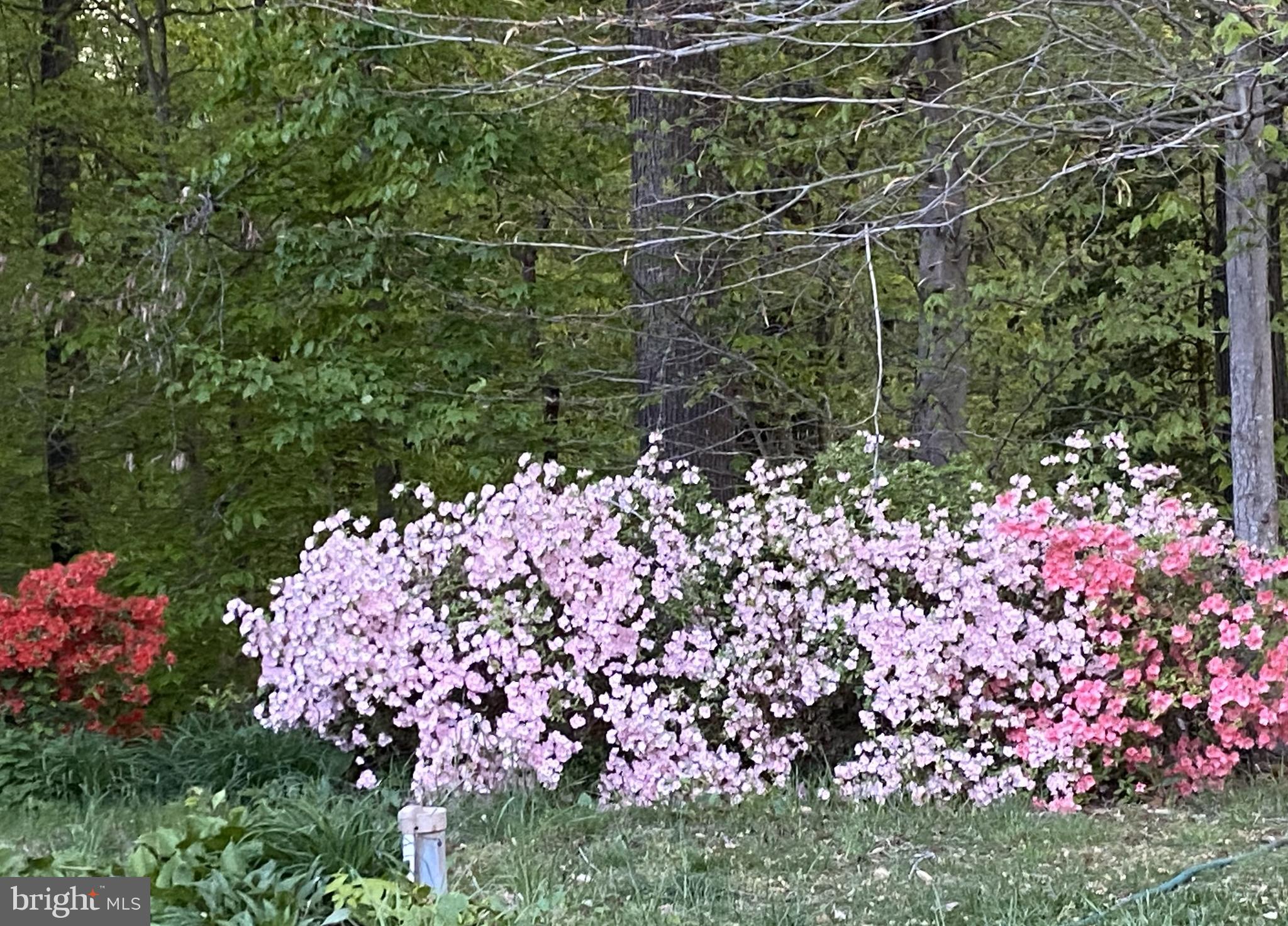 ASHWOOD MANOR - Residential