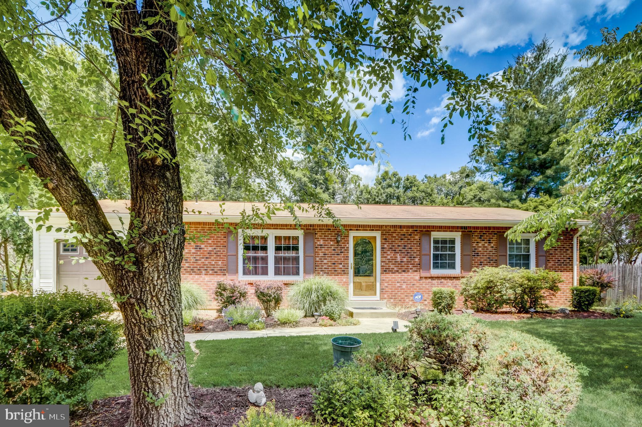 CHELTENHAM FOREST - Residential