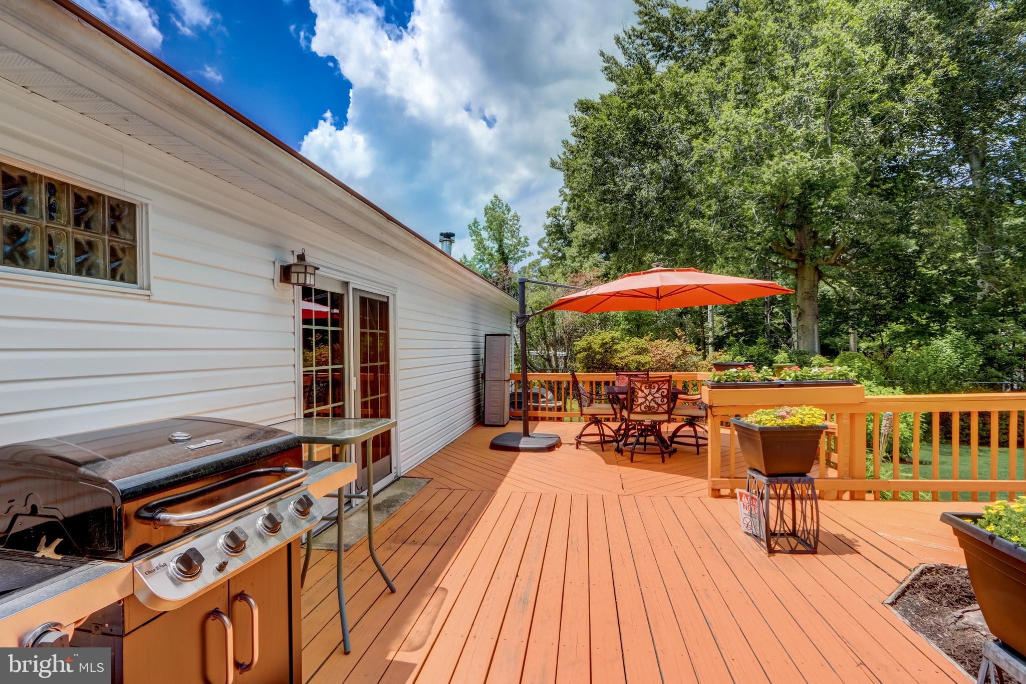 CHELTENHAM FOREST - Residential