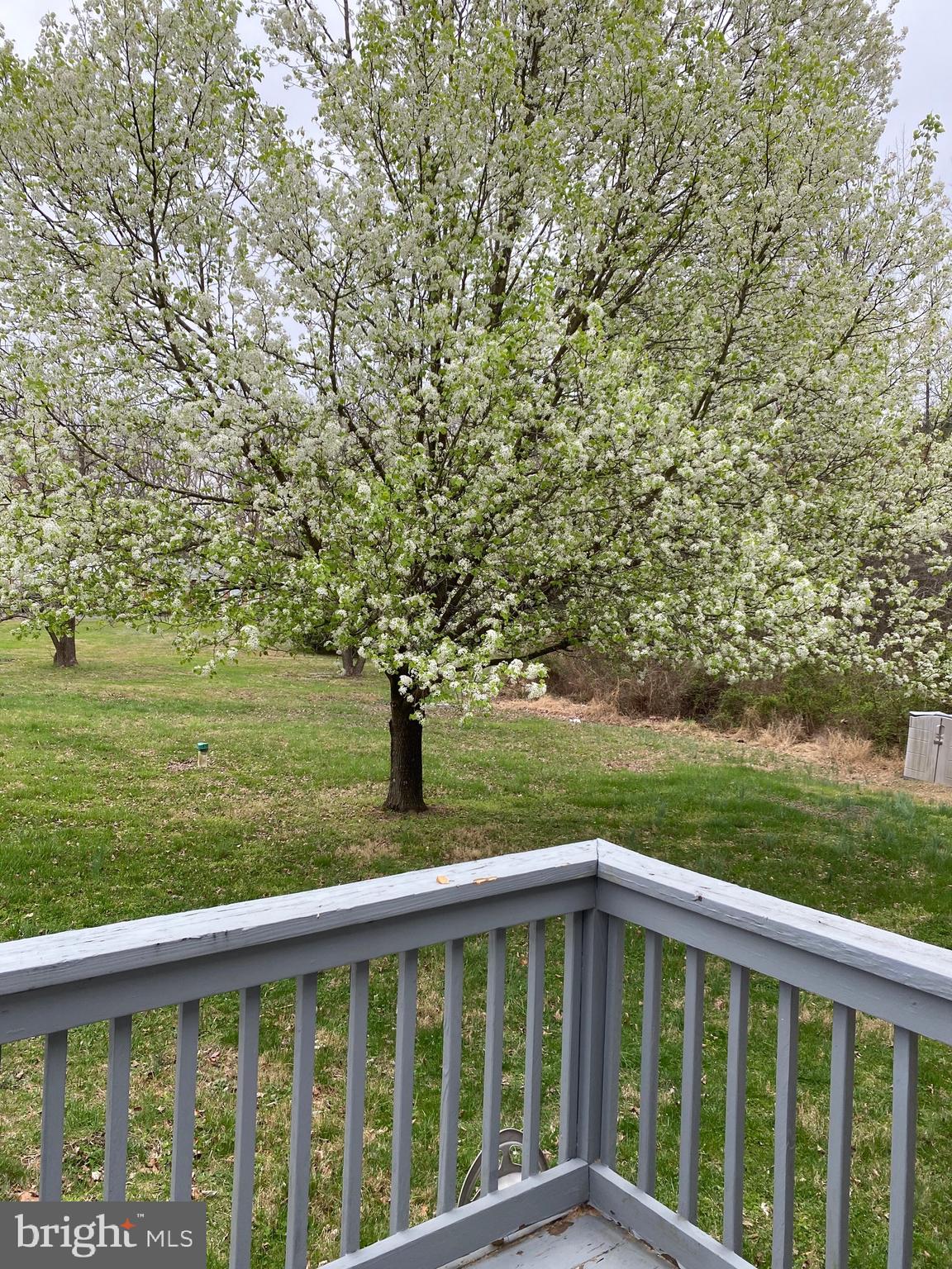 PARK SQUARE - IND HEAD - Residential Lease