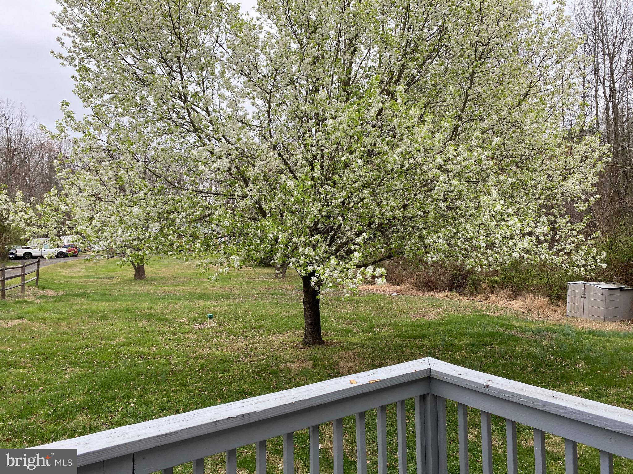 PARK SQUARE - IND HEAD - Residential Lease