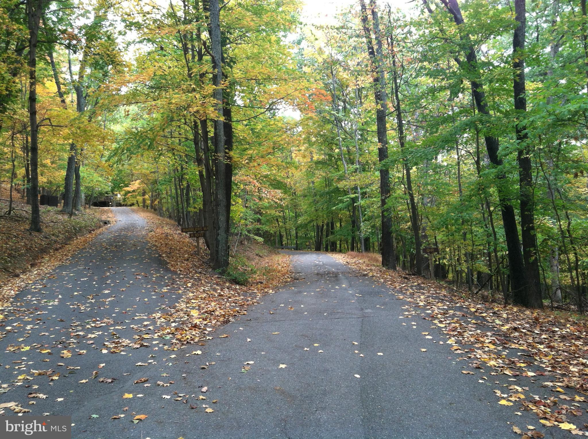 COOLFONT MOUNTAINSIDE - Residential
