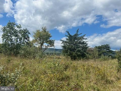 APPLE ORCHARD ACRES - Land