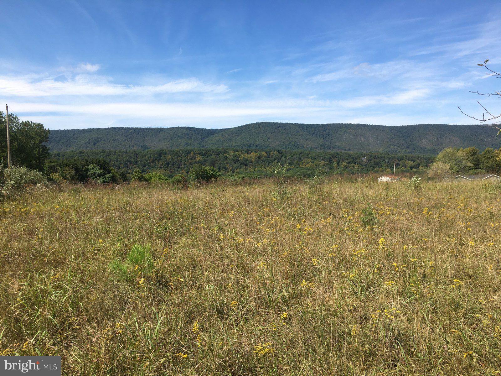 APPLE ORCHARD ACRES - Land