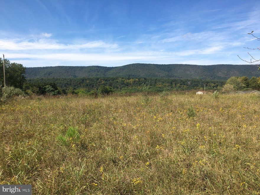 Gently sloping 1.22 acre building lot w/ mountain views, community water option,  older perc on file w/ MCHD, (renewal fee is $180) Located close to Cacapon State Park and the VA line. No HOA