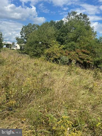 APPLE ORCHARD ACRES - Land