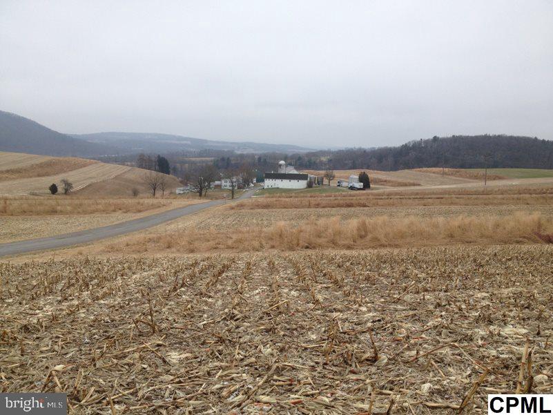 UNKNOWN - Farm