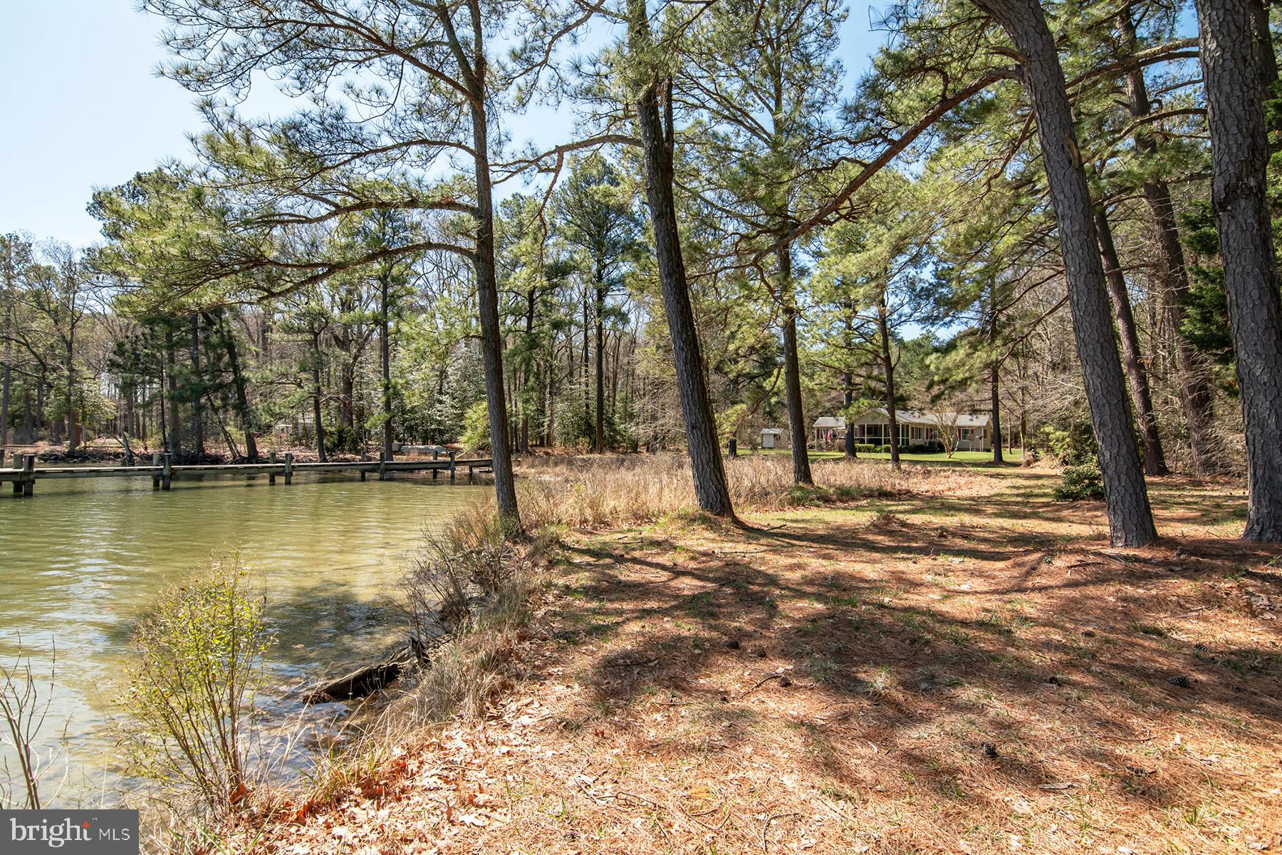 ROYAL OAK - Residential