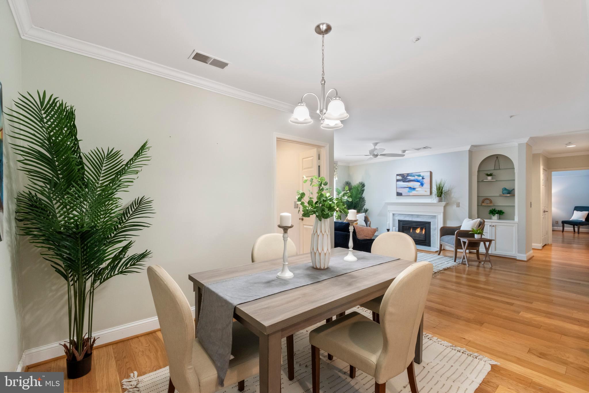 BELMONT FOREST - Residential