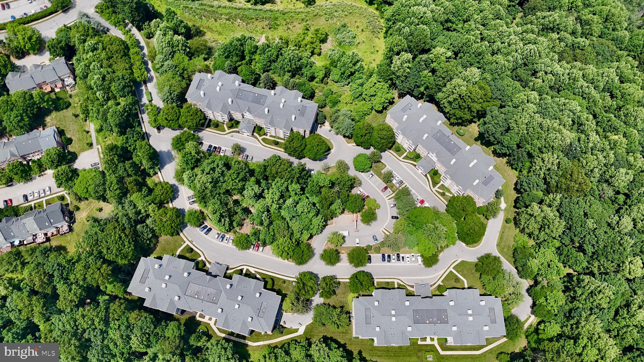 BELMONT FOREST - Residential