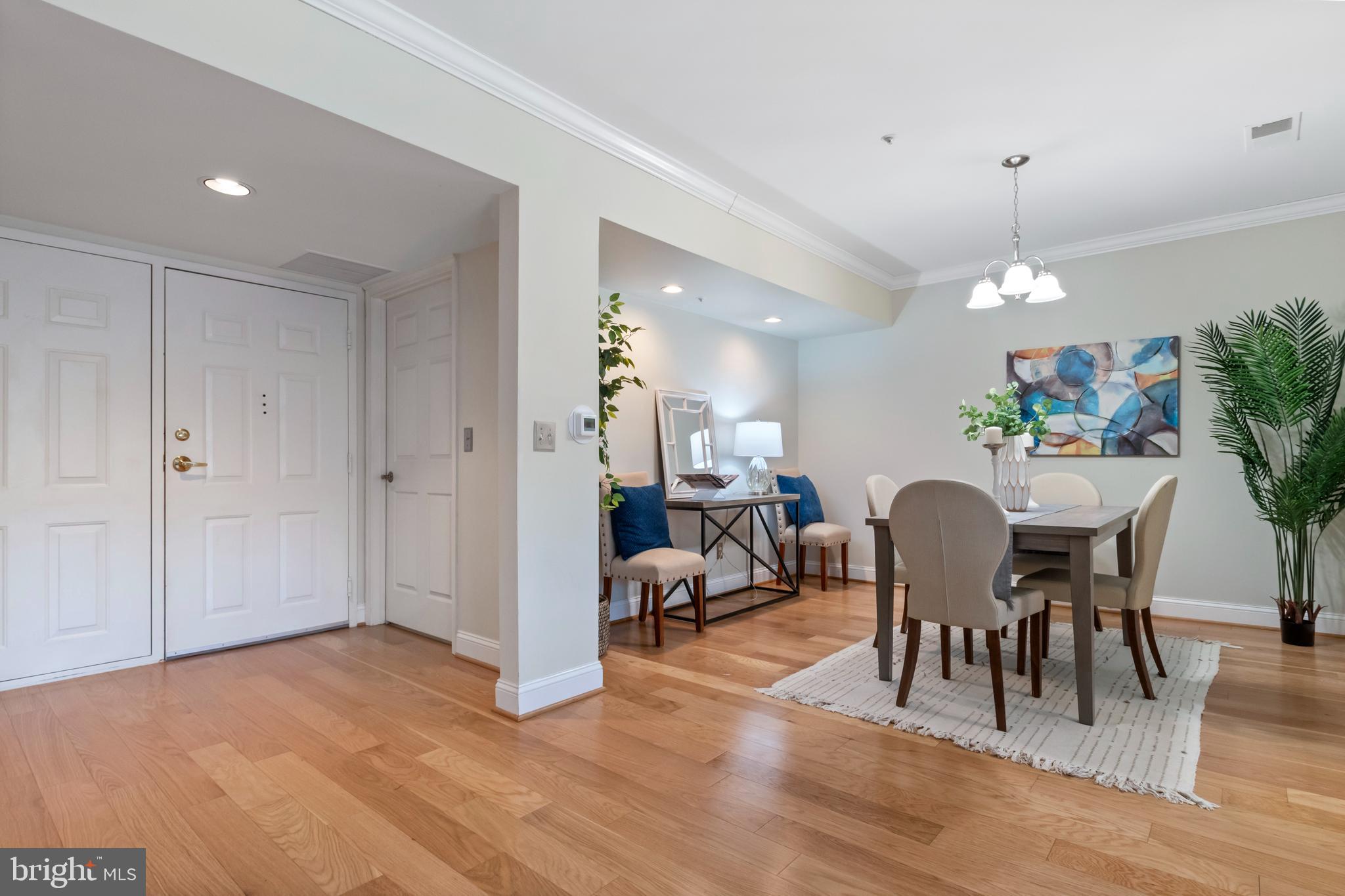 BELMONT FOREST - Residential