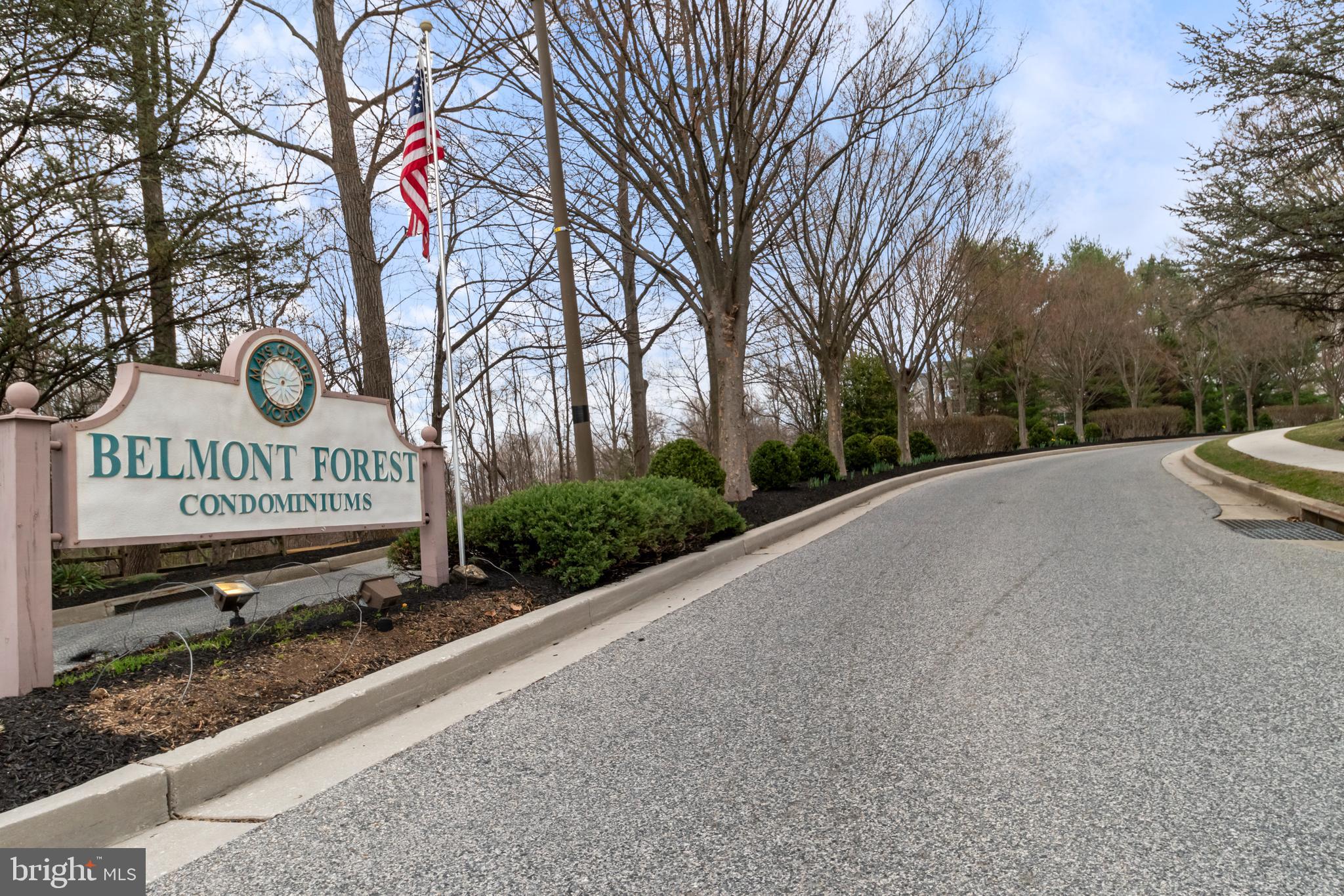 BELMONT FOREST - Residential