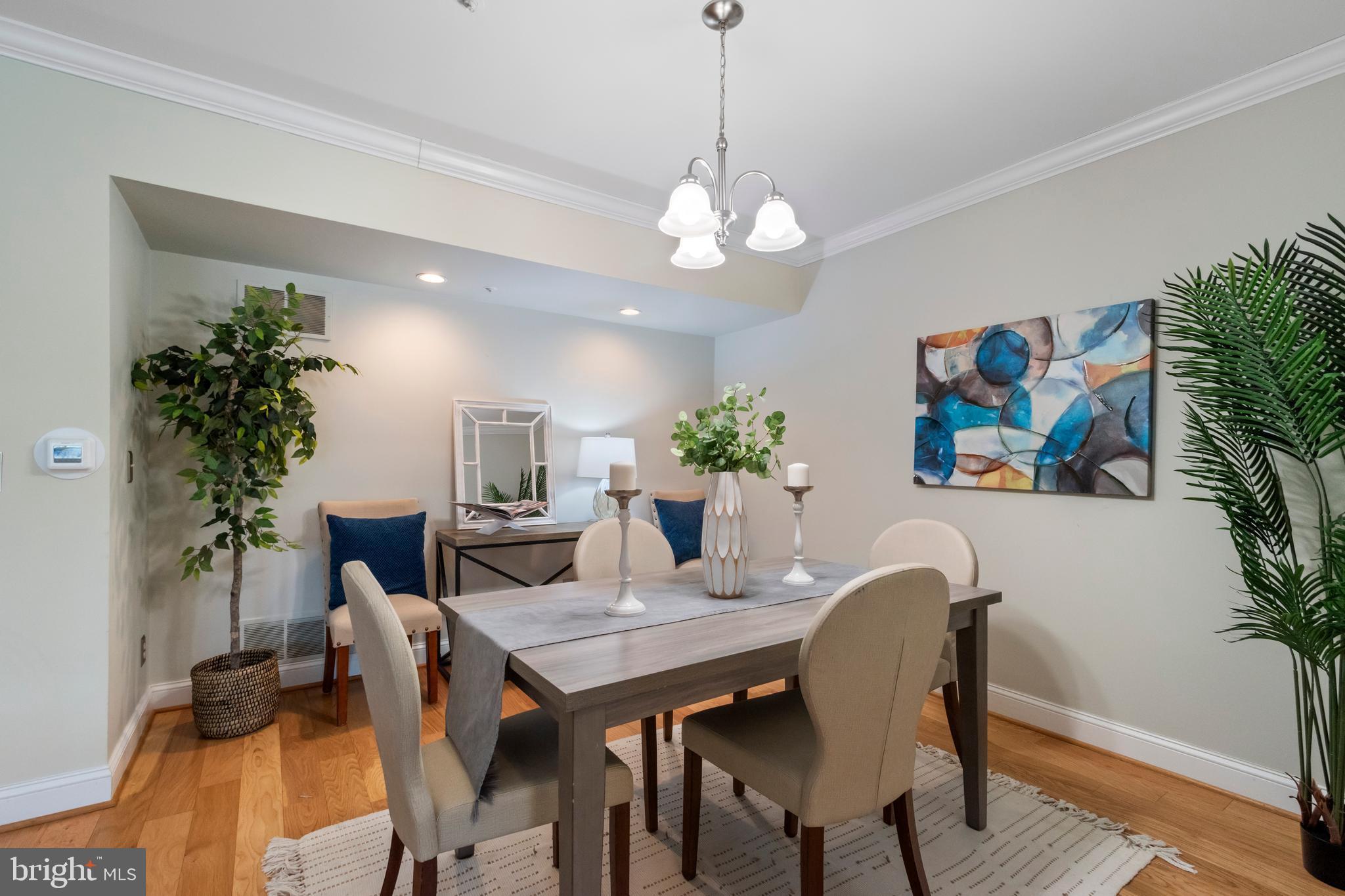 BELMONT FOREST - Residential