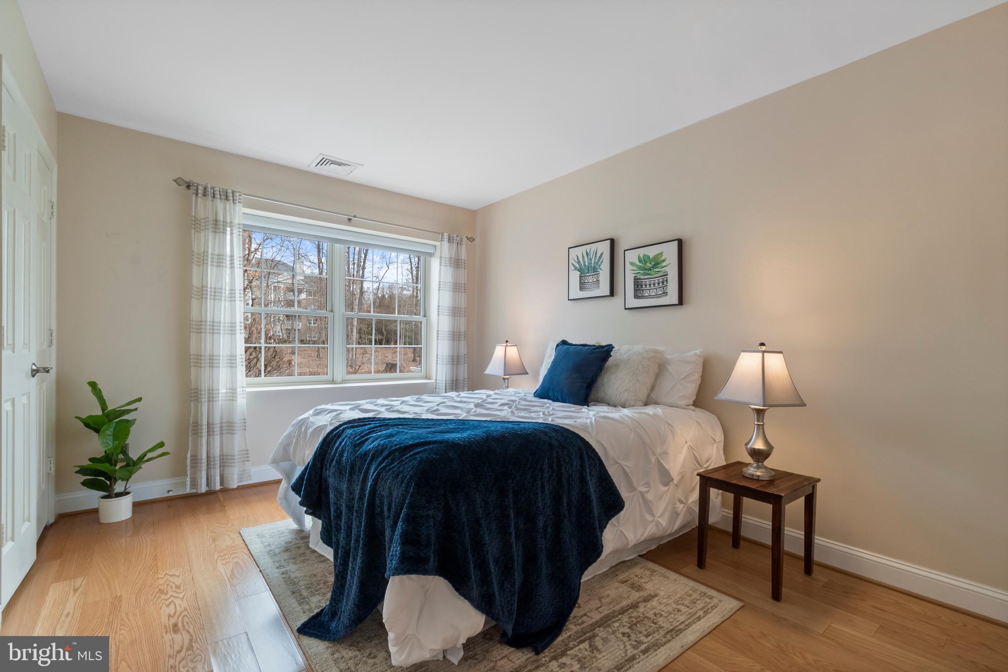 BELMONT FOREST - Residential