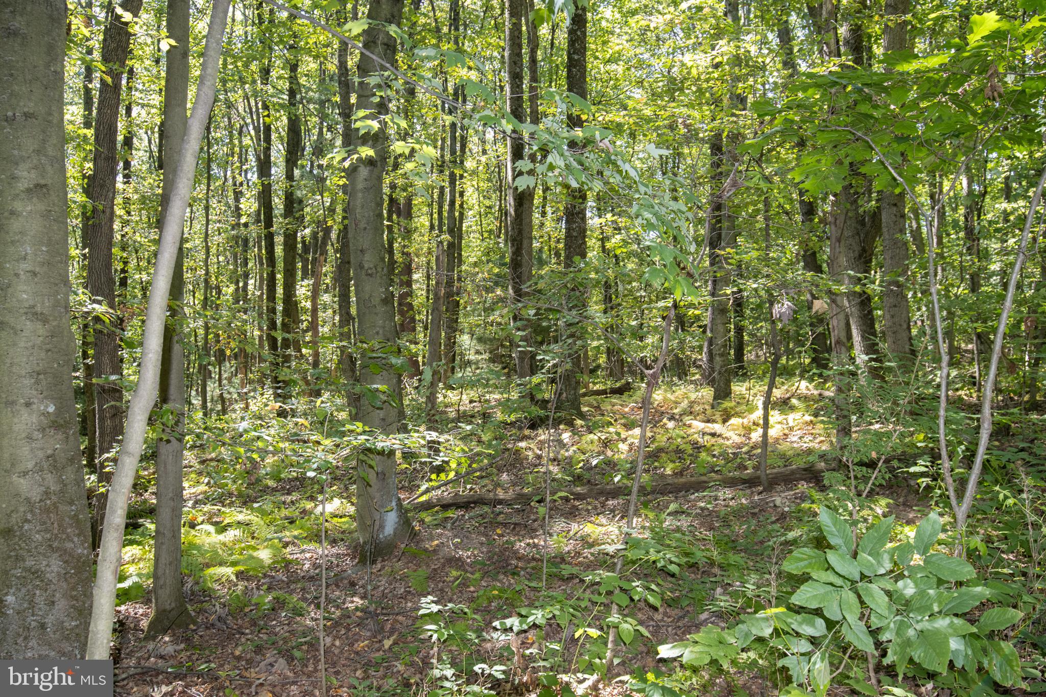 NORTH MANHEIM TWP - Residential