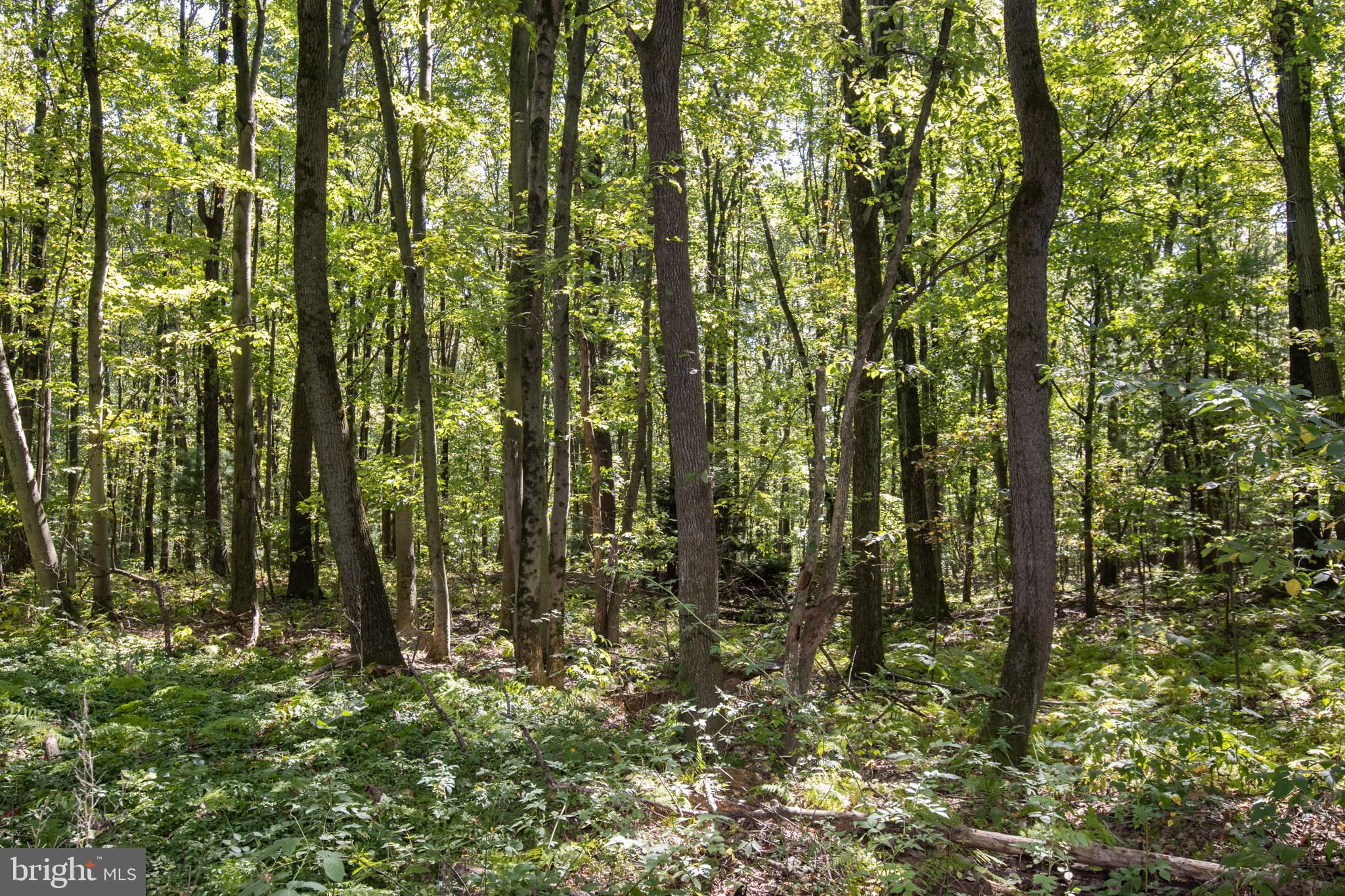 NORTH MANHEIM TWP - Residential