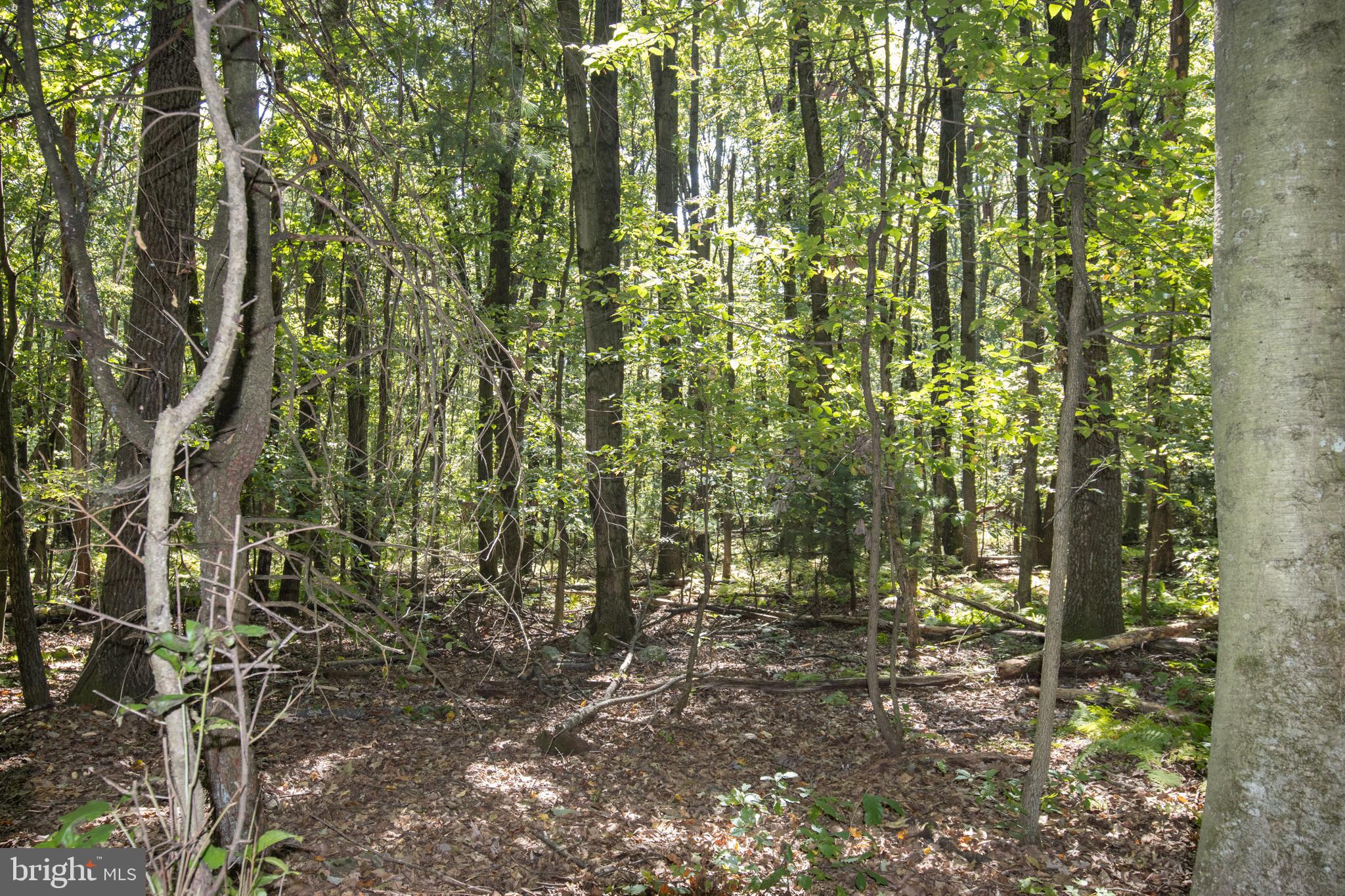 NORTH MANHEIM TWP - Residential