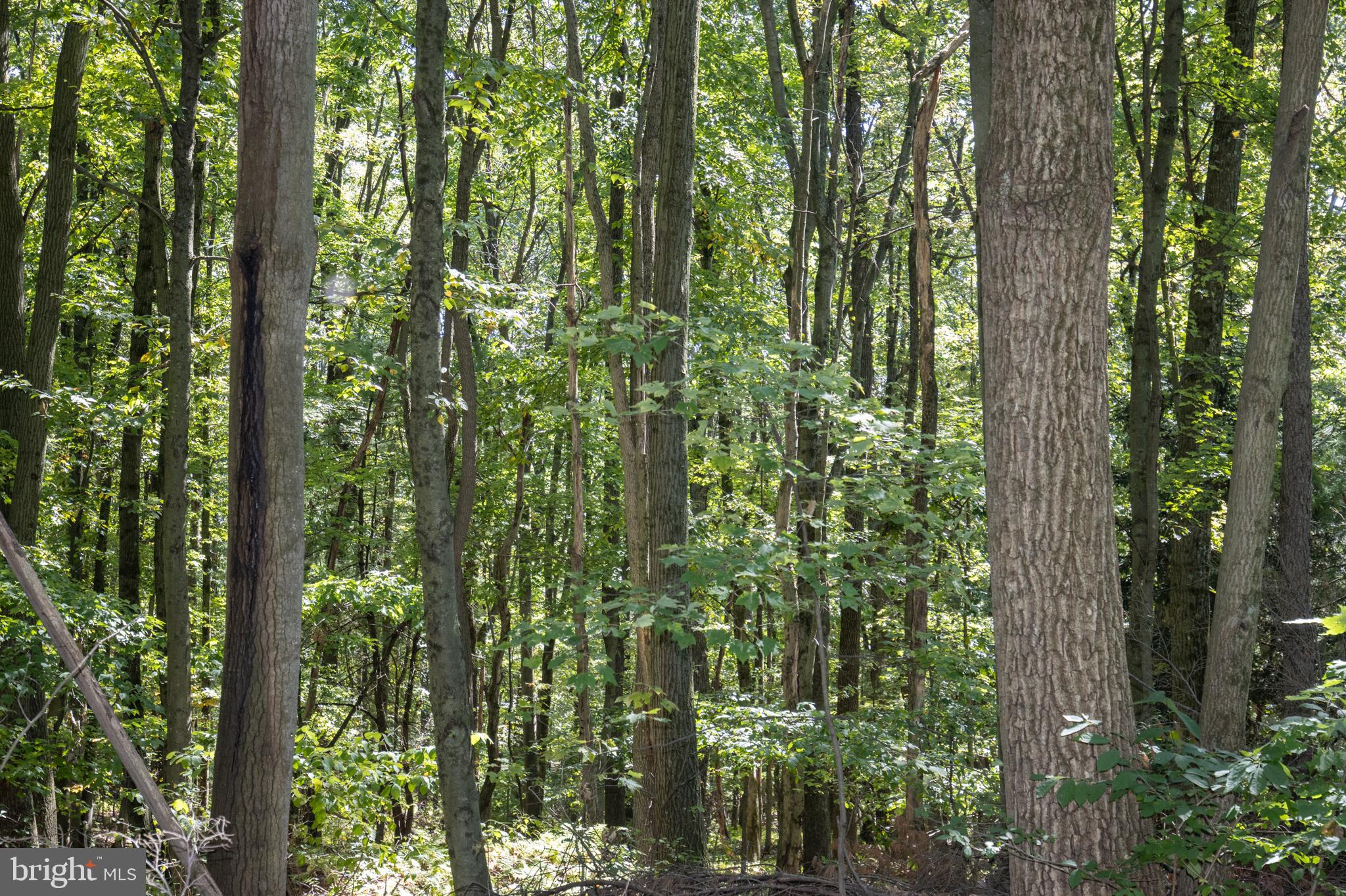 NORTH MANHEIM TWP - Residential