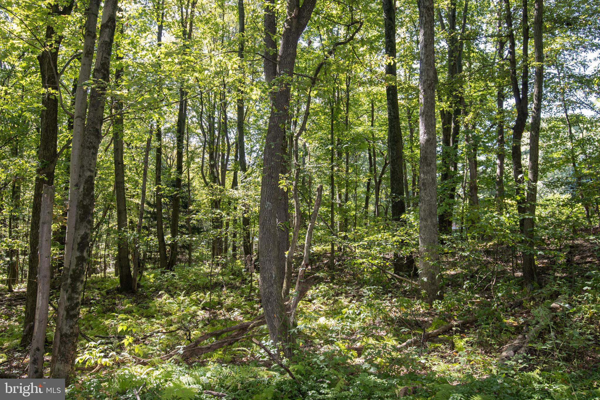 NORTH MANHEIM TWP - Residential