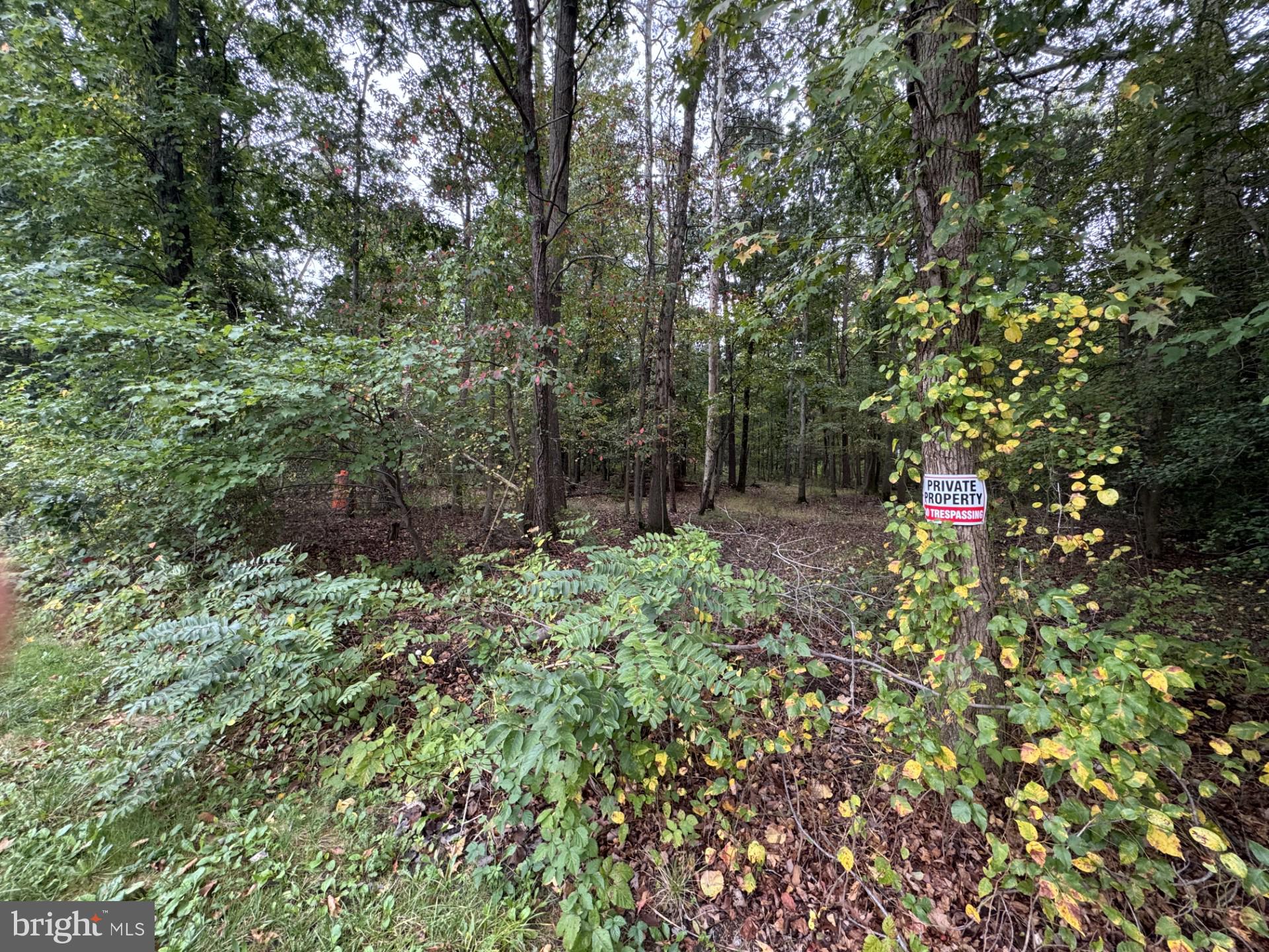 1635 WALL DRIVE