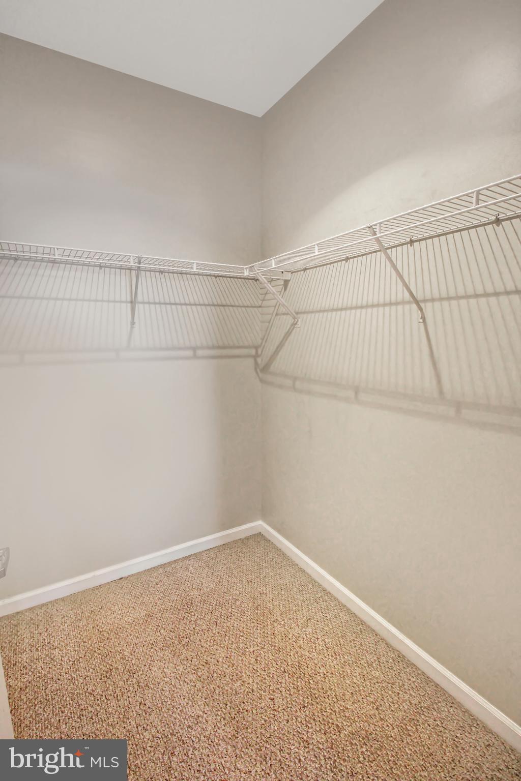 SAVOY AT RESTON TOWN CENTER - Residential