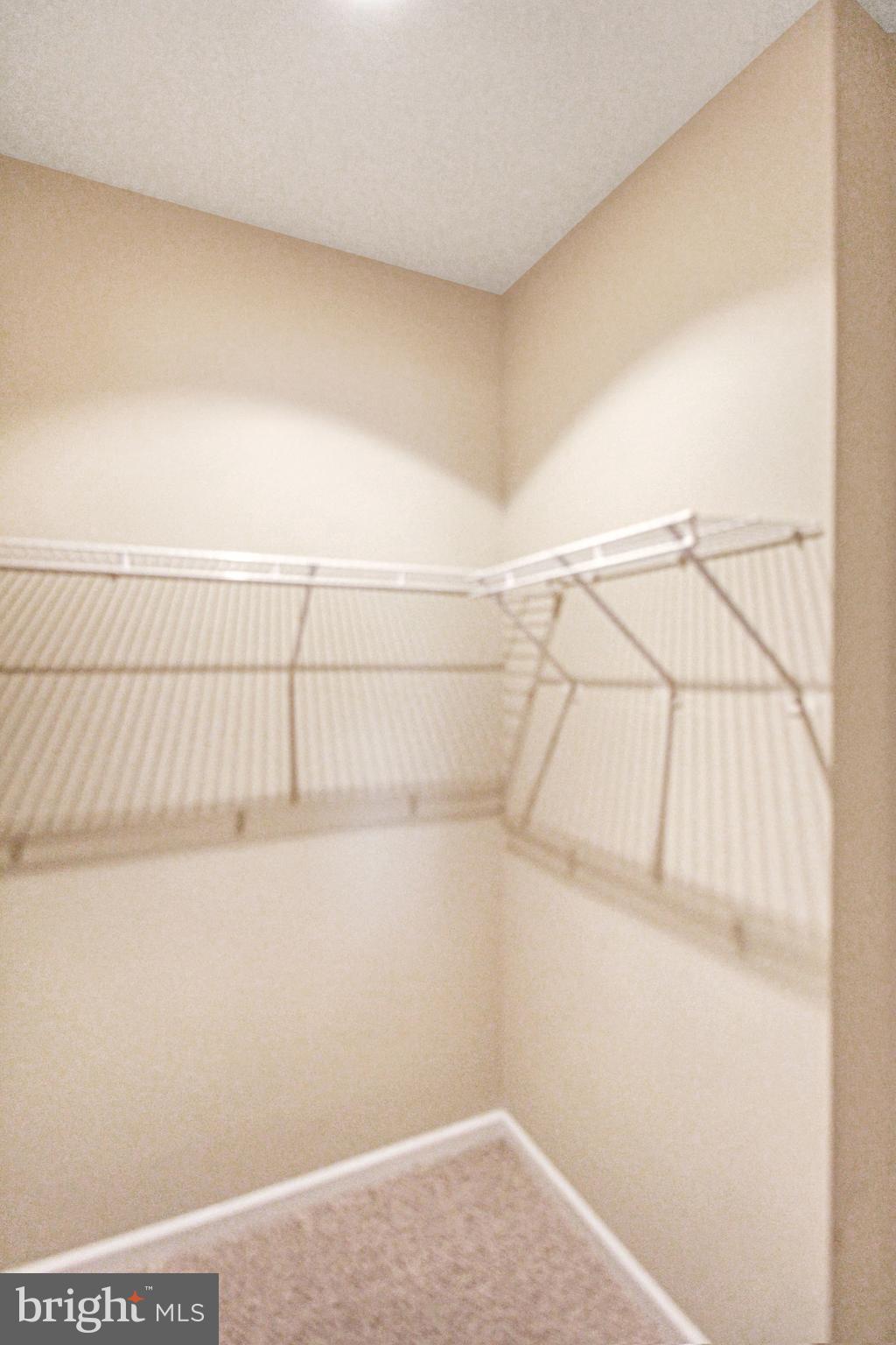 SAVOY AT RESTON TOWN CENTER - Residential