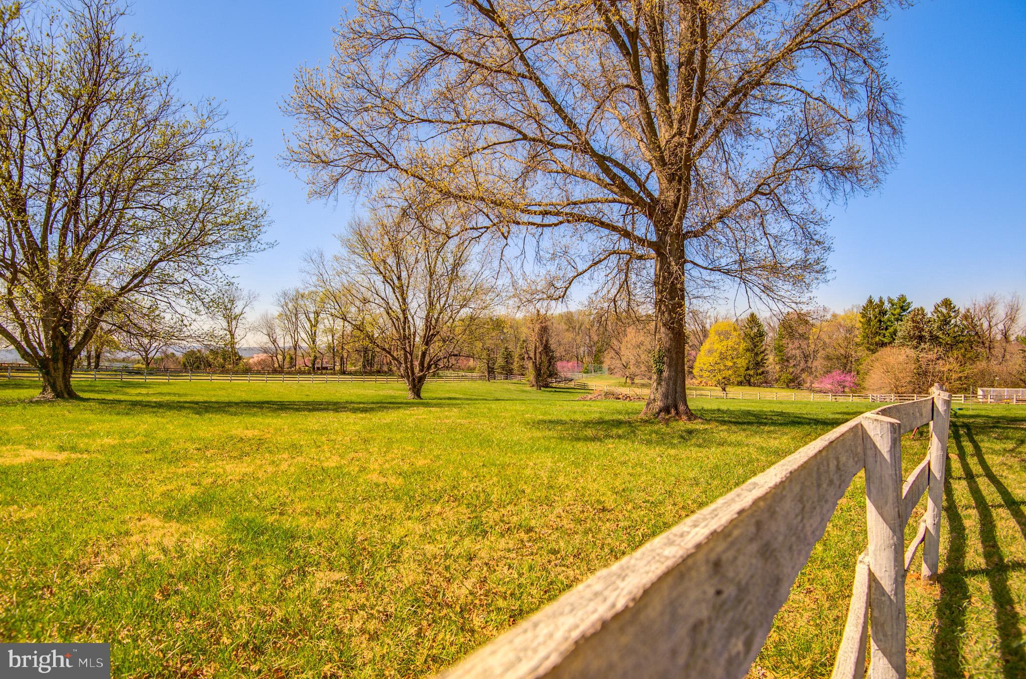 PAEONIAN SPRINGS - Residential