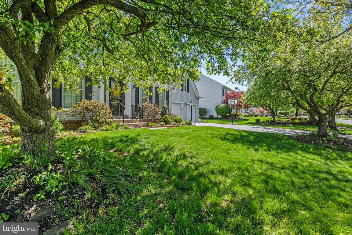 MALLARD POND - Residential