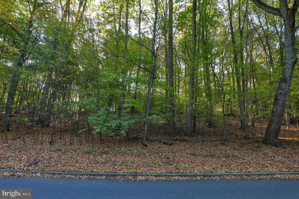 Photo of 50 Buck Run Road, Conestoga, PA 17516 (MLS # PALA2038772)