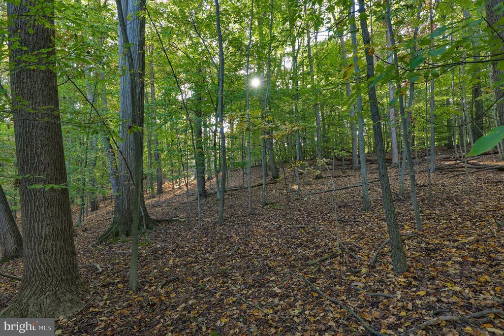 Photo of 50 Buck Run Road, Conestoga, PA 17516 (MLS # PALA2038772)