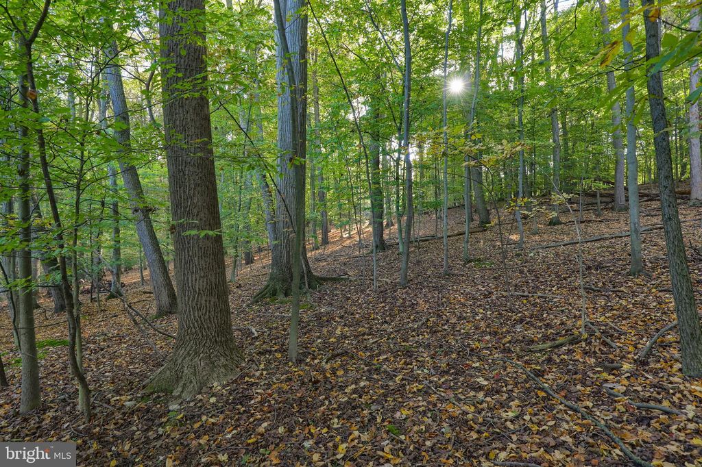 Photo of 50 Buck Run Road, Conestoga, PA 17516 (MLS # PALA2038772)