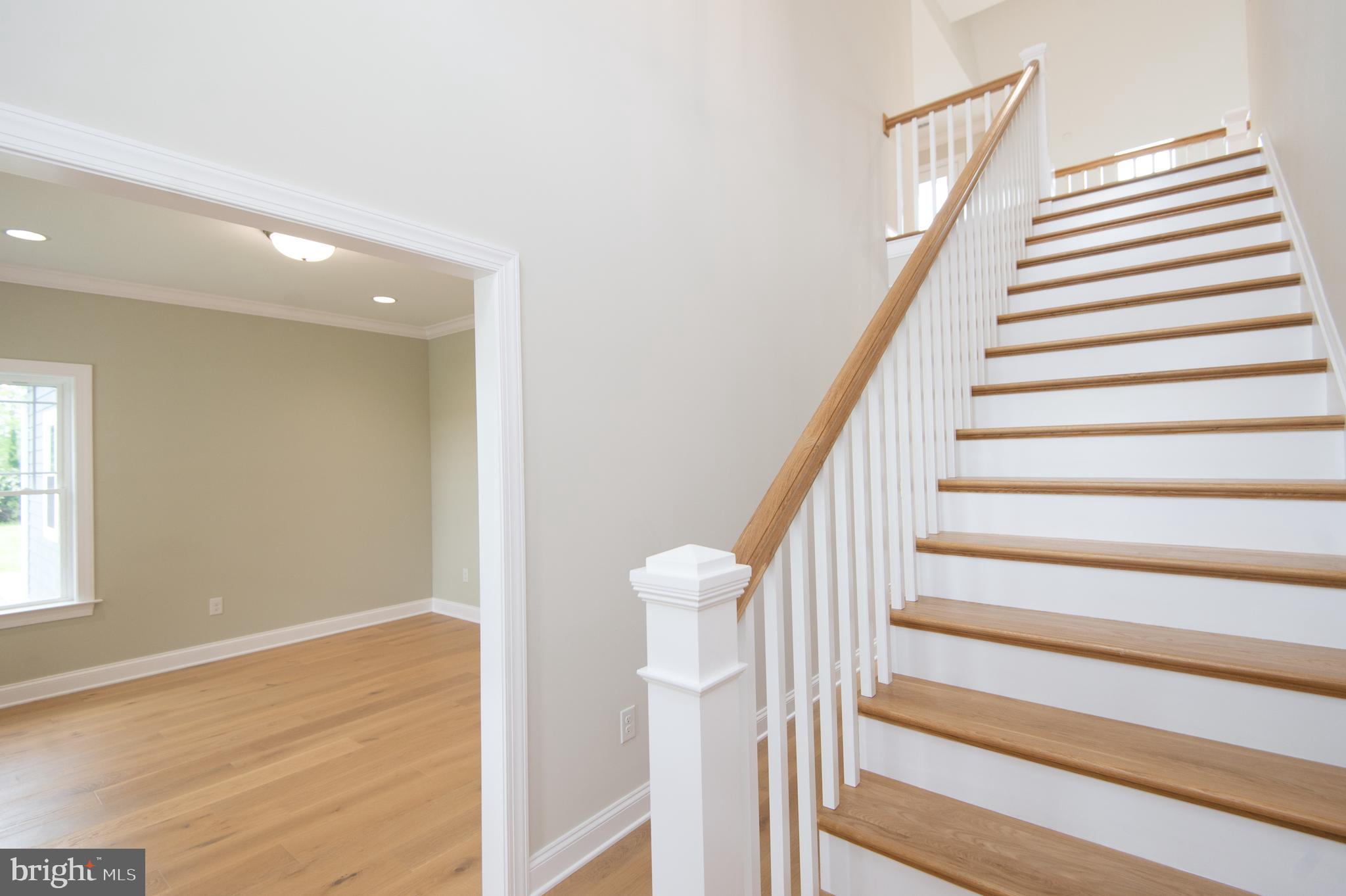 HORNS POINT - Residential