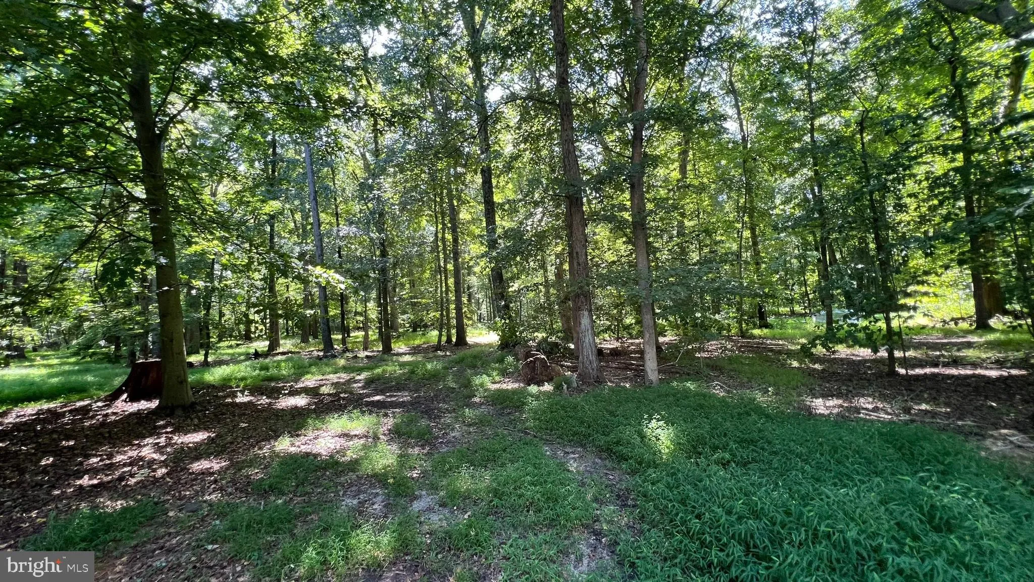 Westampton, New Jersey 08060, United States, ,Land,Pending,45710