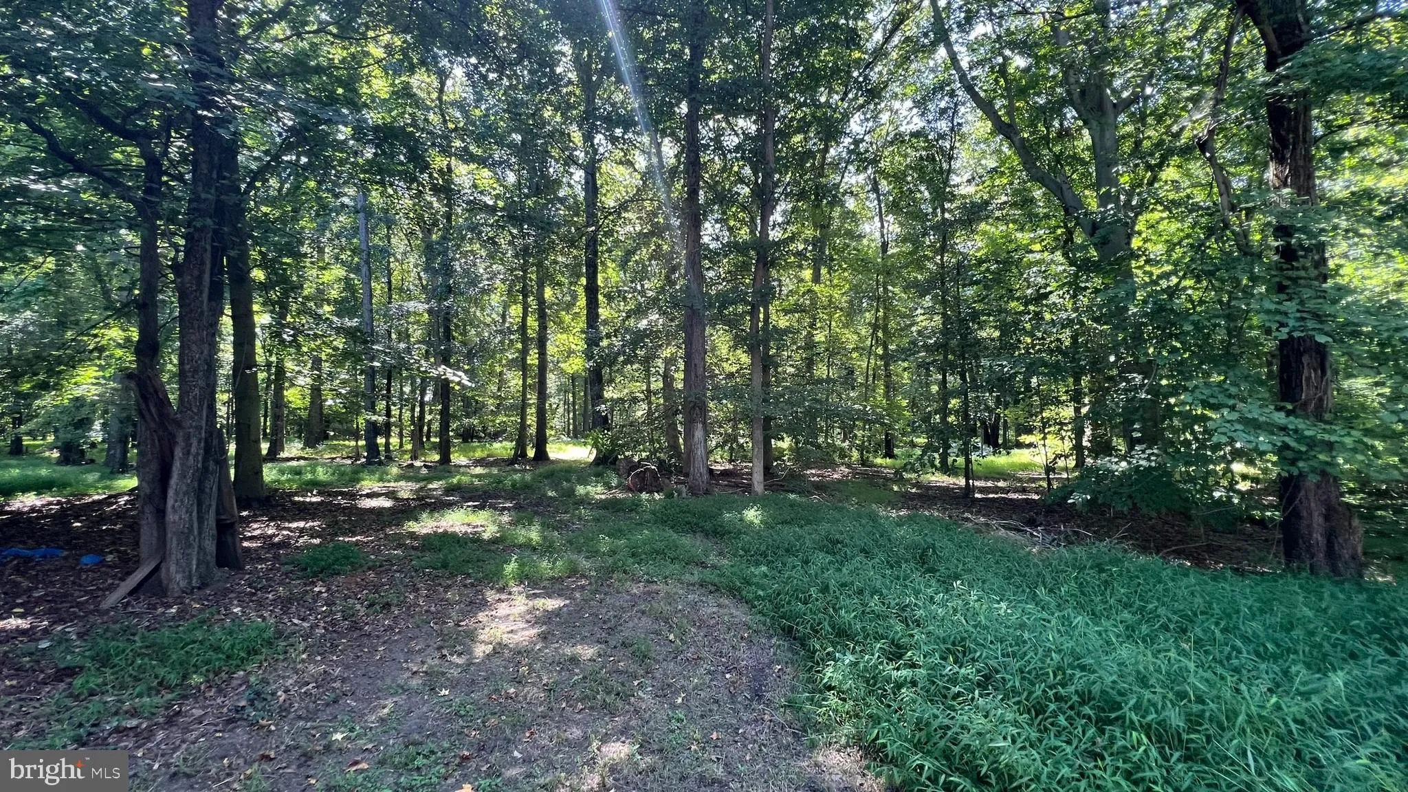 Westampton, New Jersey 08060, United States, ,Land,Pending,45710