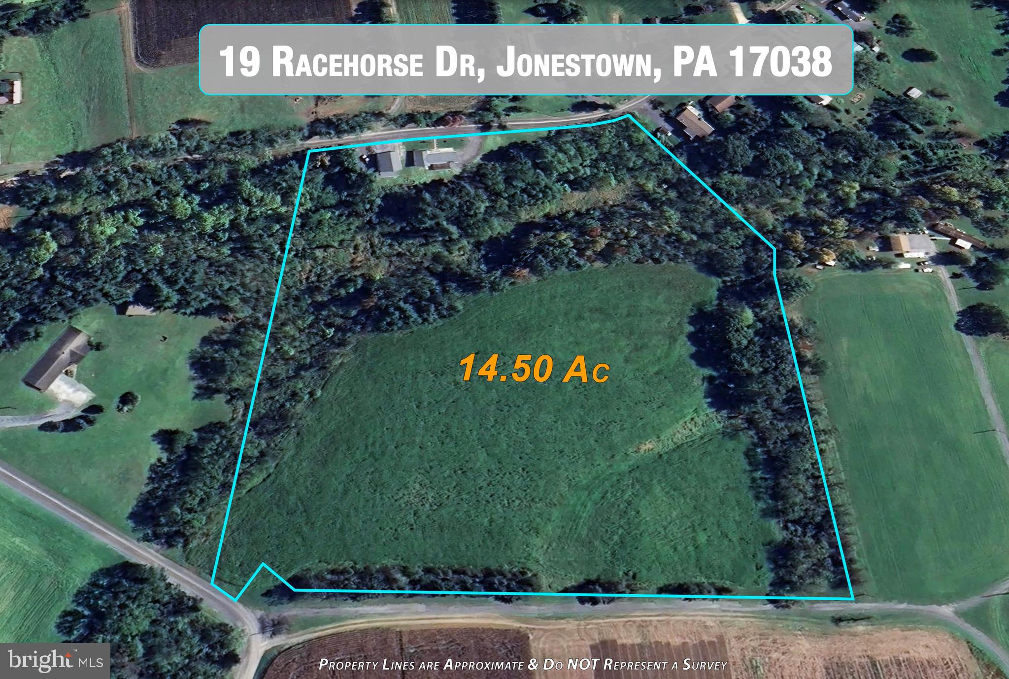 19 RACEHORSE DRIVE