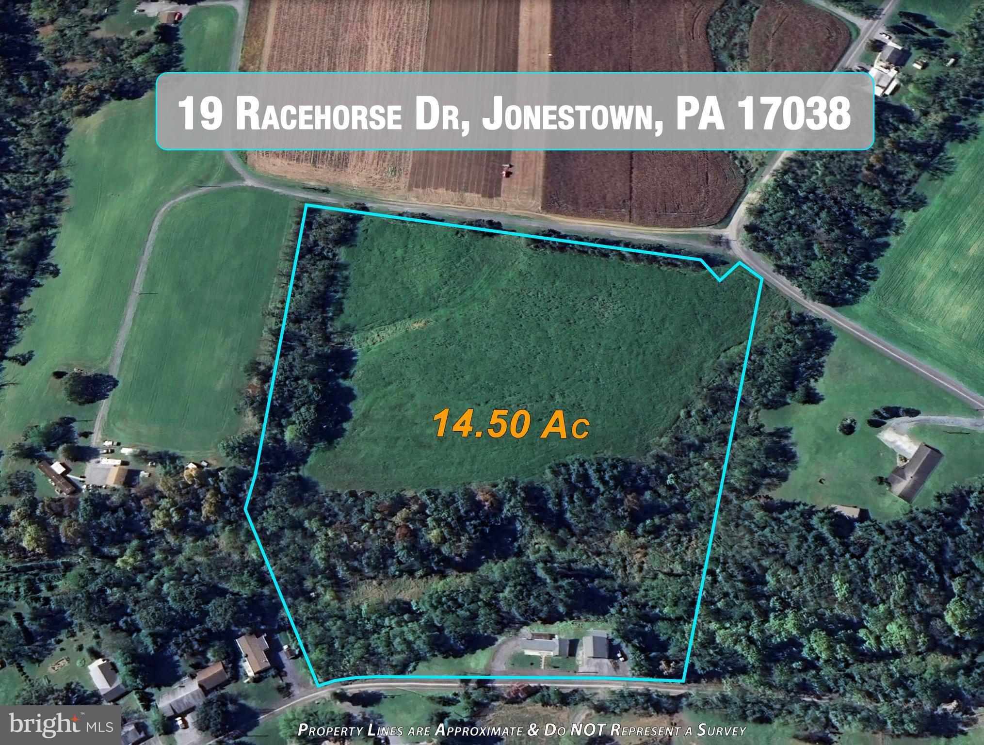 19 RACEHORSE DRIVE