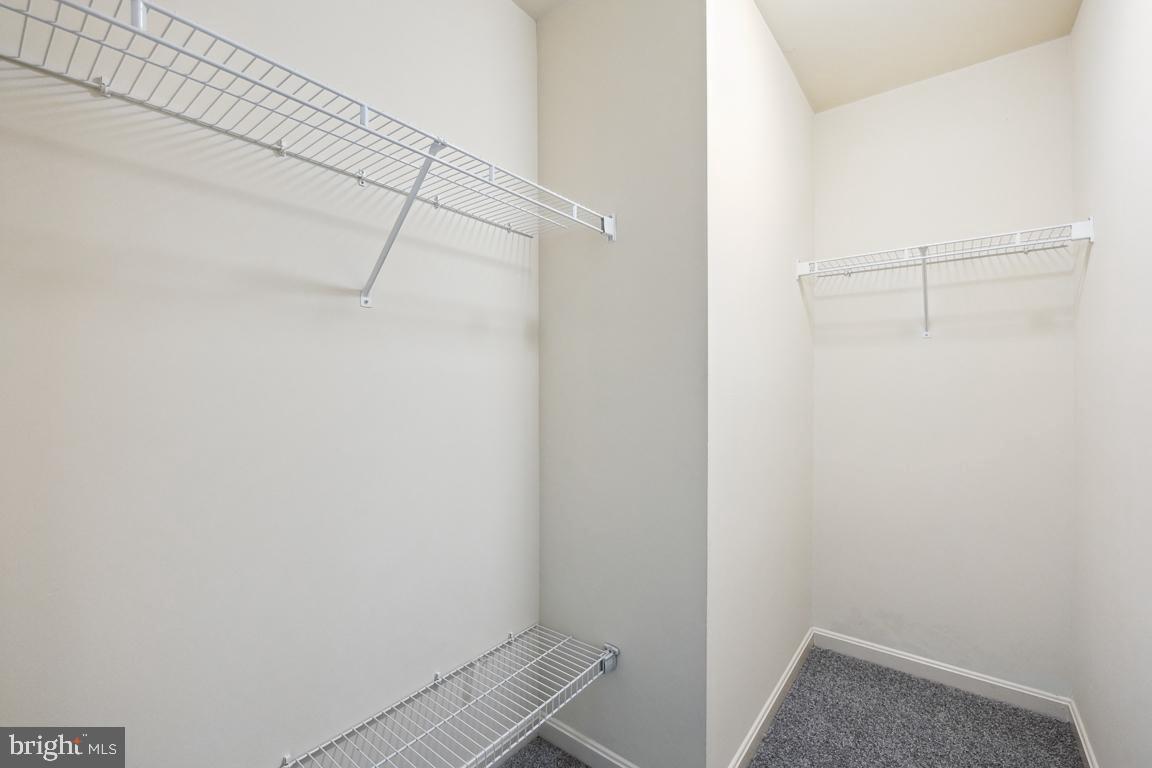 CARROLLWOOD MANOR - Residential