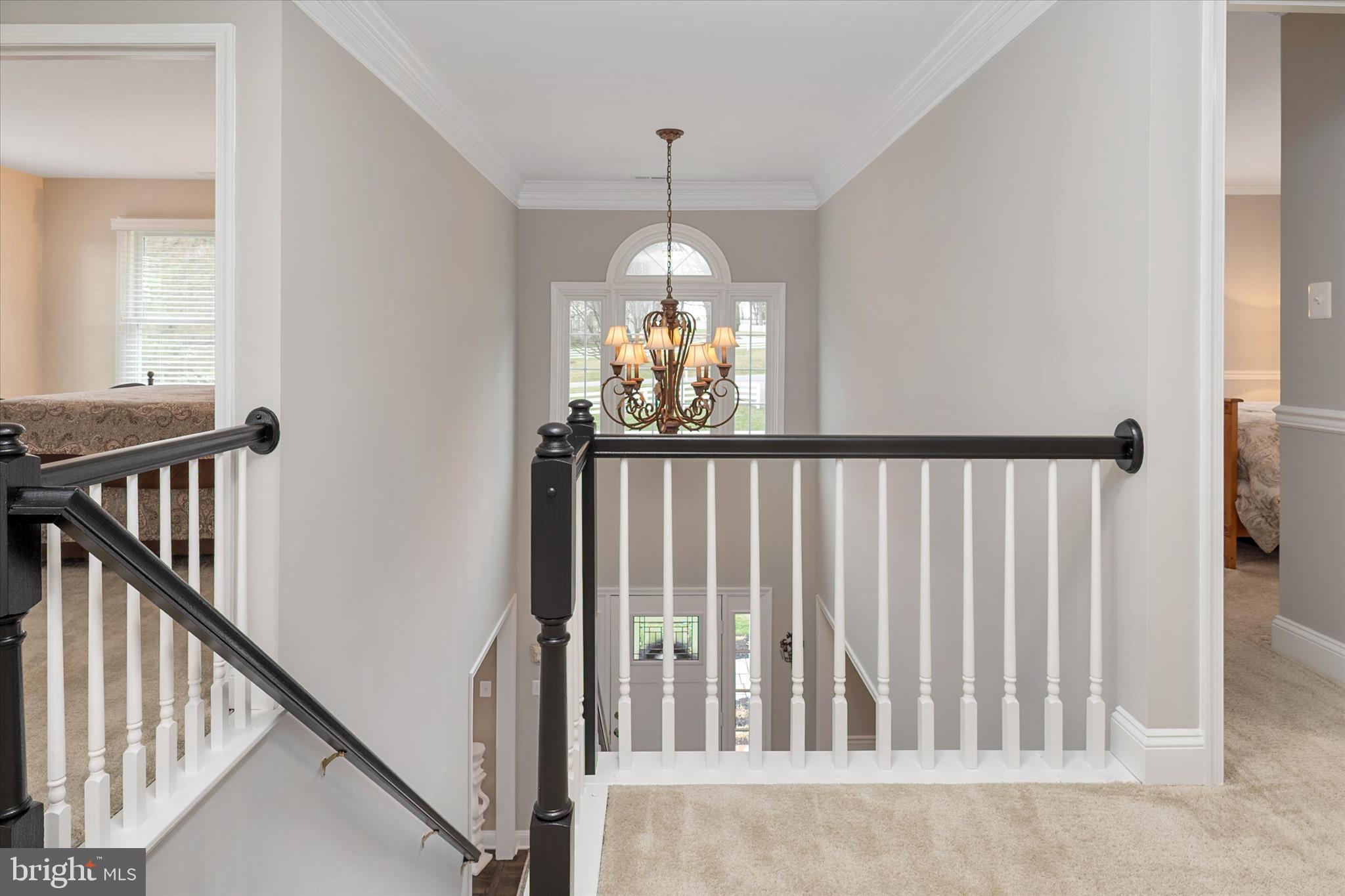 THE PADDOCKS - Residential