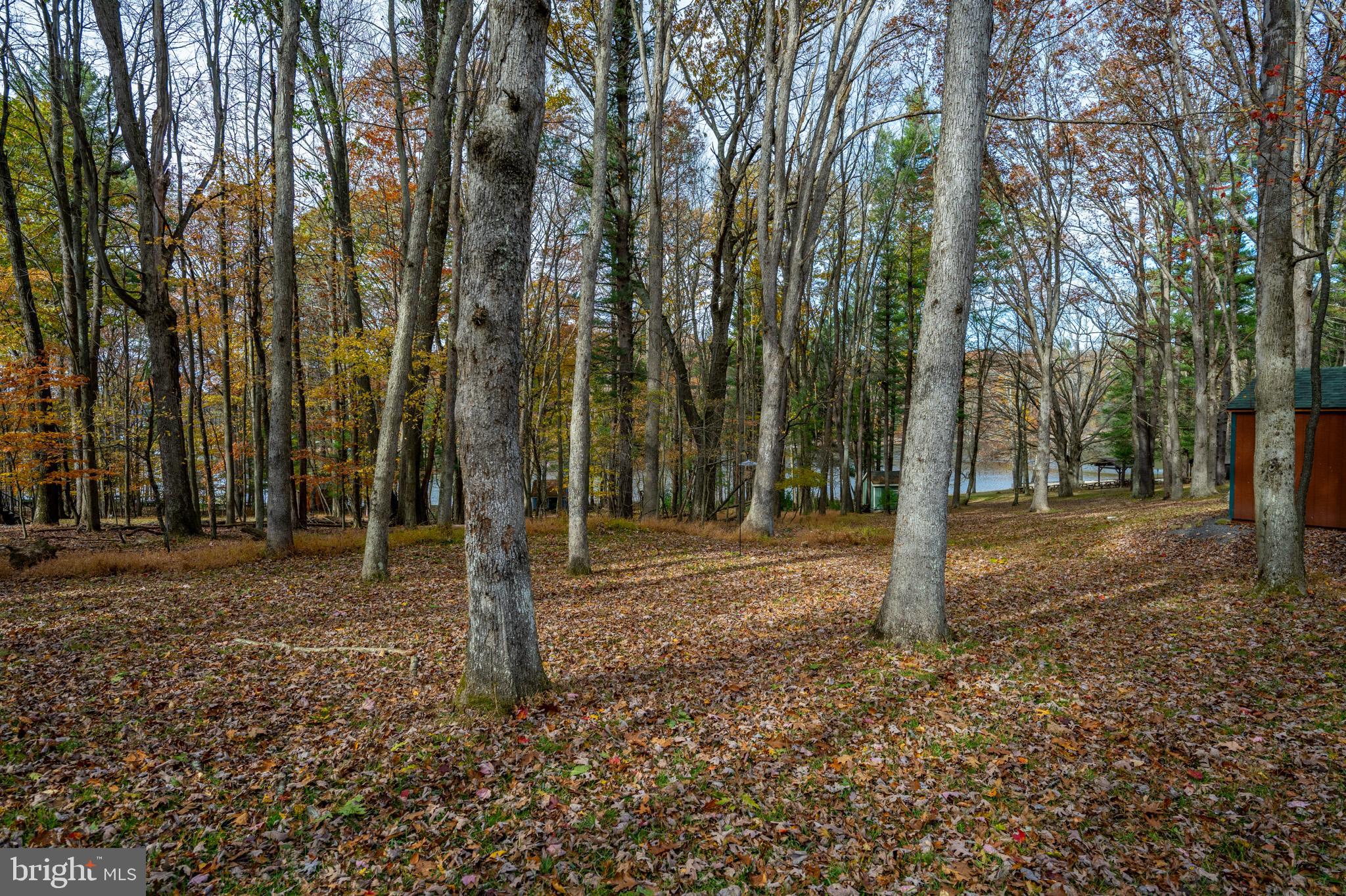 SKY VALLEY - Residential