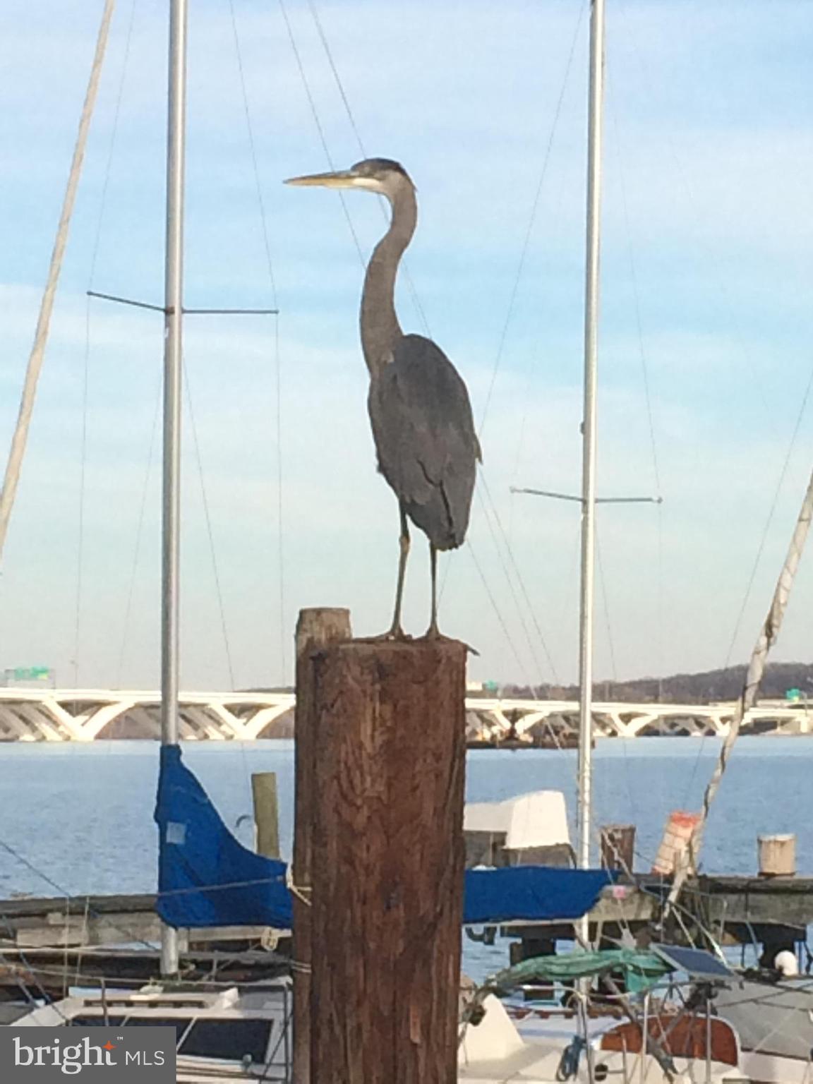 BELLE VIEW - Residential