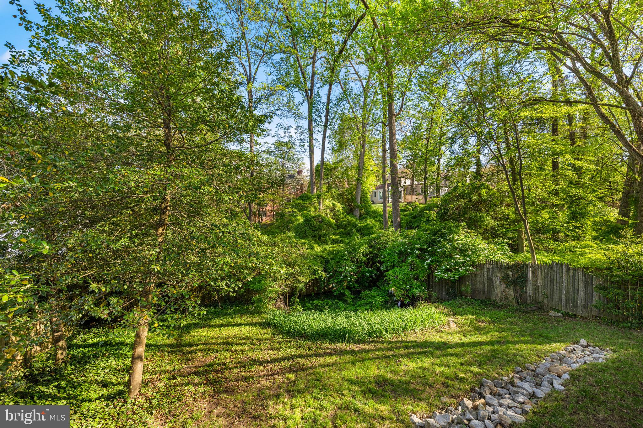 CHEVY CHASE - Residential