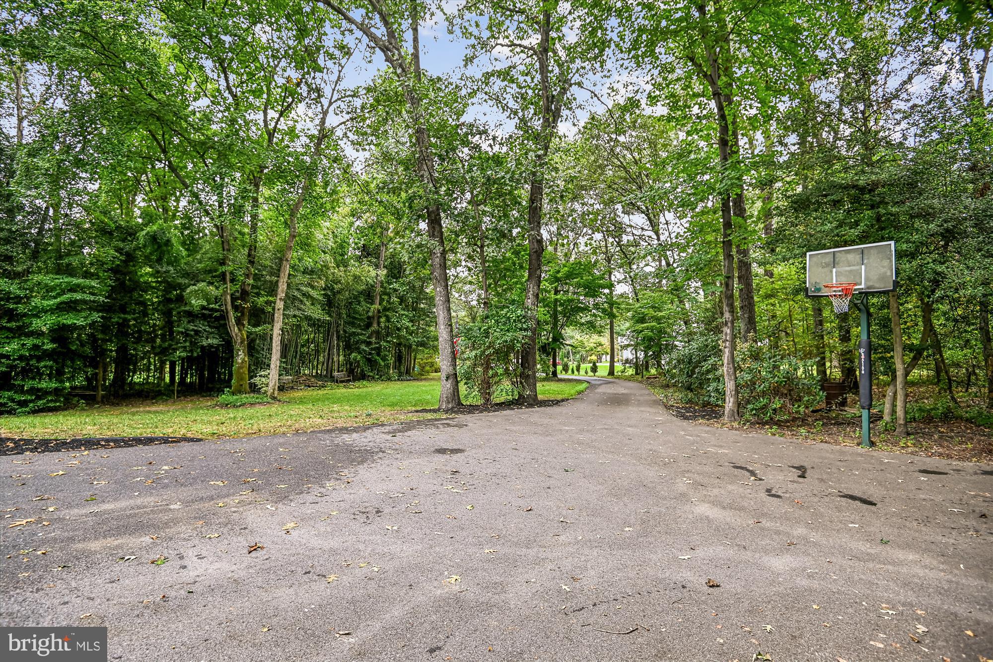 WOODBRIDGE FOREST - Residential