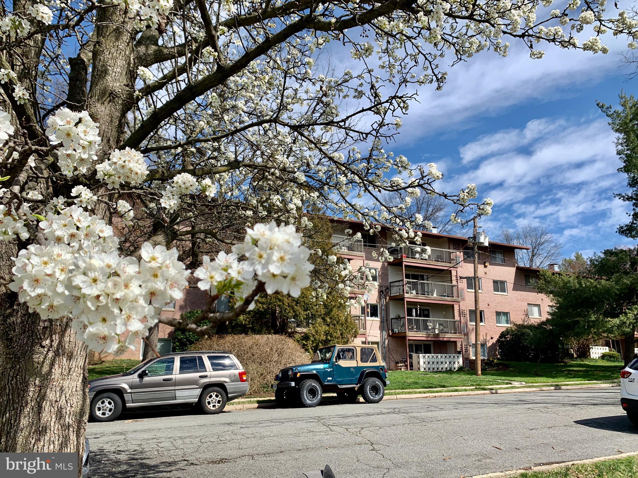 PARK TERRACE - Residential Lease