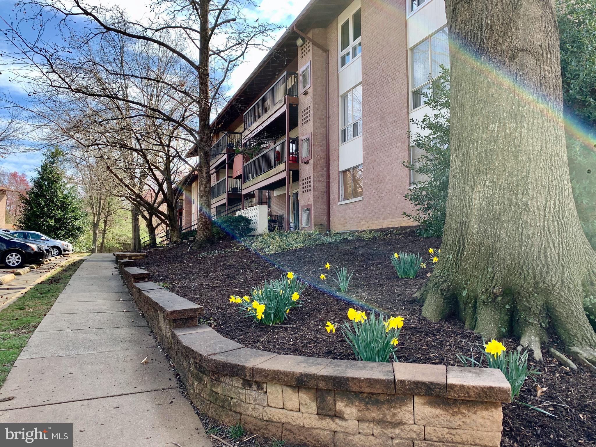 PARK TERRACE - Residential Lease