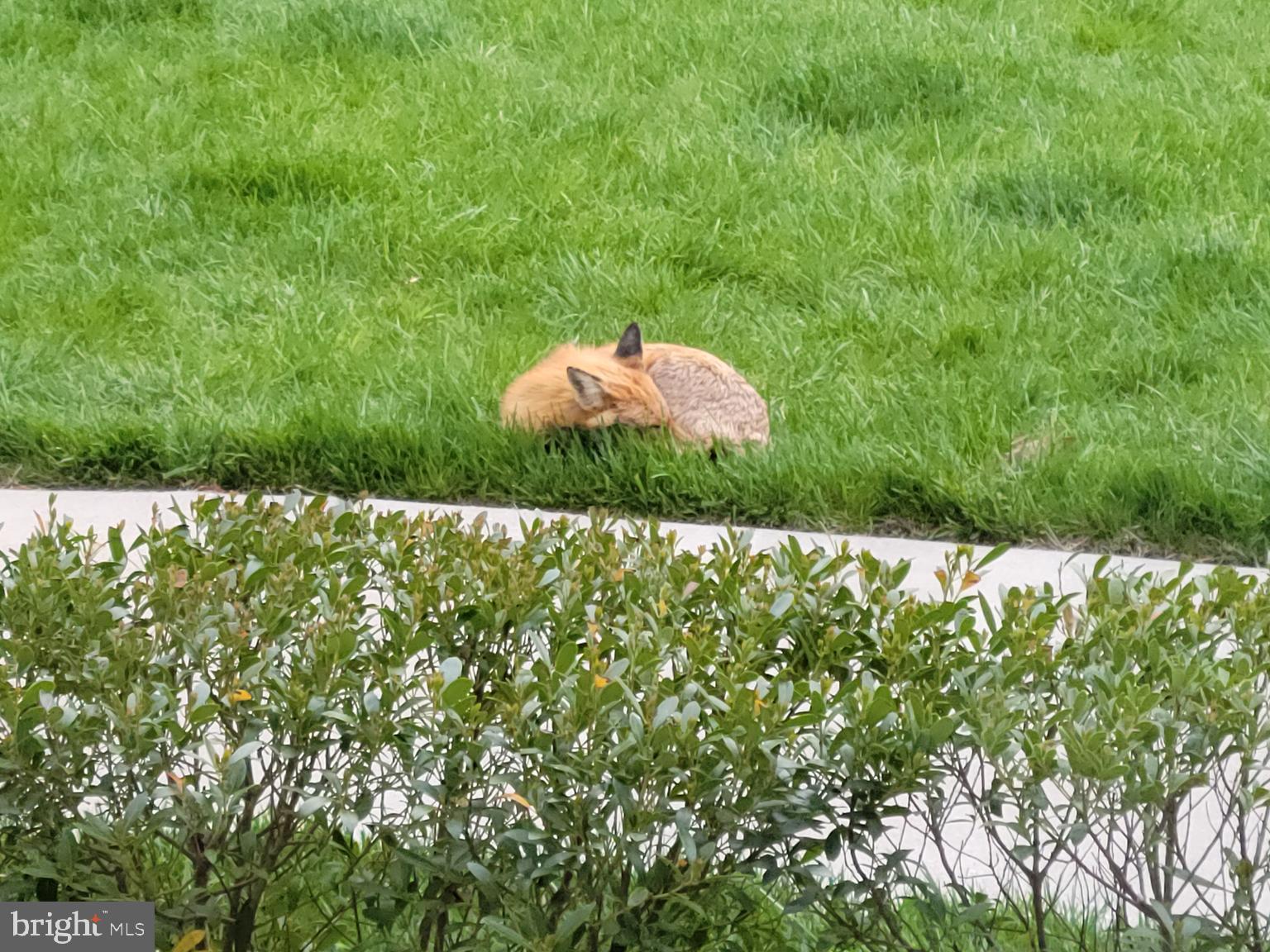 HOPEWELL POINTE - Residential