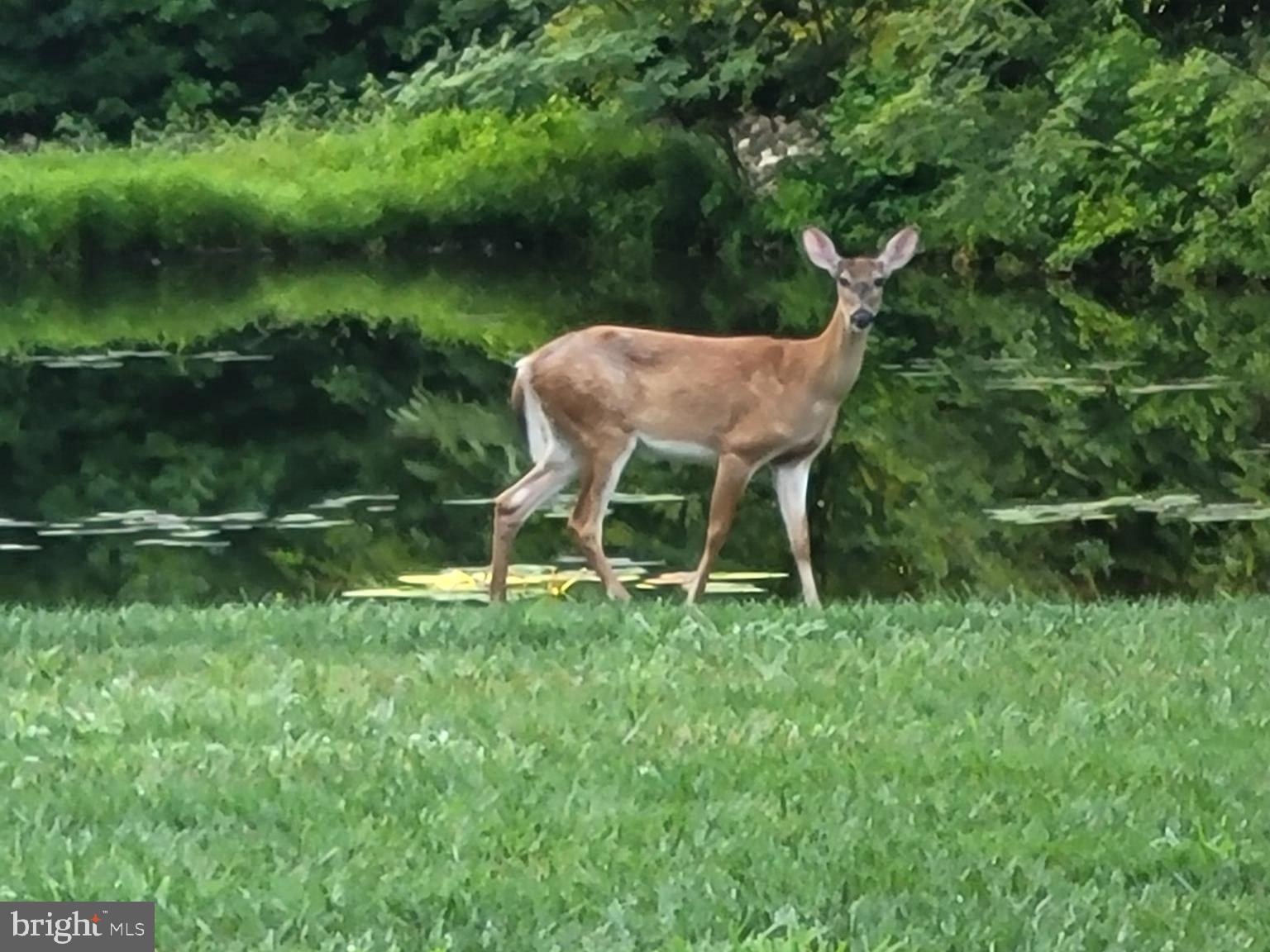 HOPEWELL POINTE - Residential